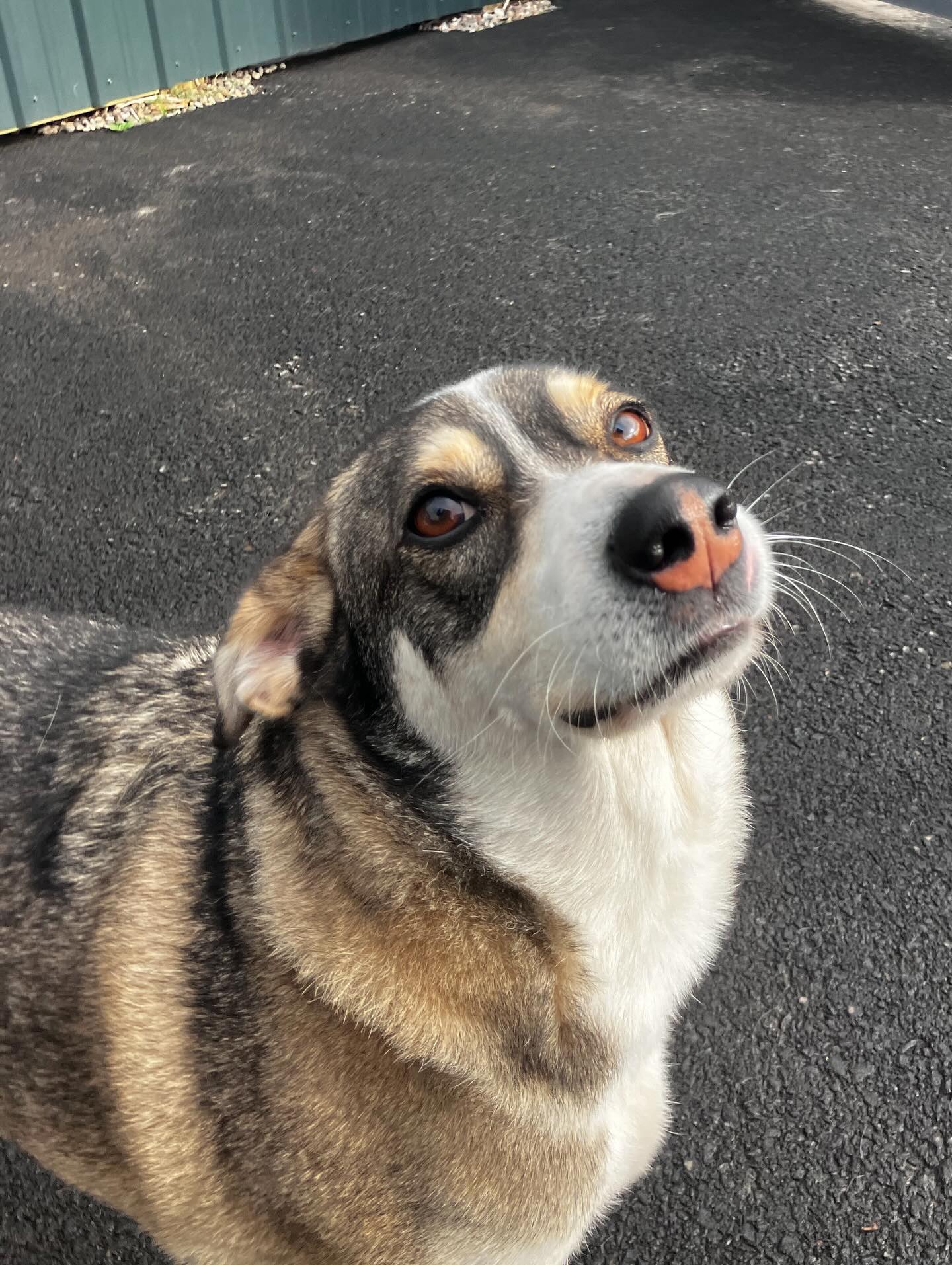 Just some hugs from Yama