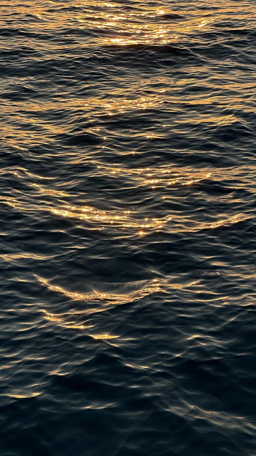 La cosa che amo, impacchettare i vostri ordini 🤍
—
I love packing your orders 🤍
#packingorders #smallbrand #gioiellifattiamano #handmadejewelry #brandgioielli #jewellerybrand