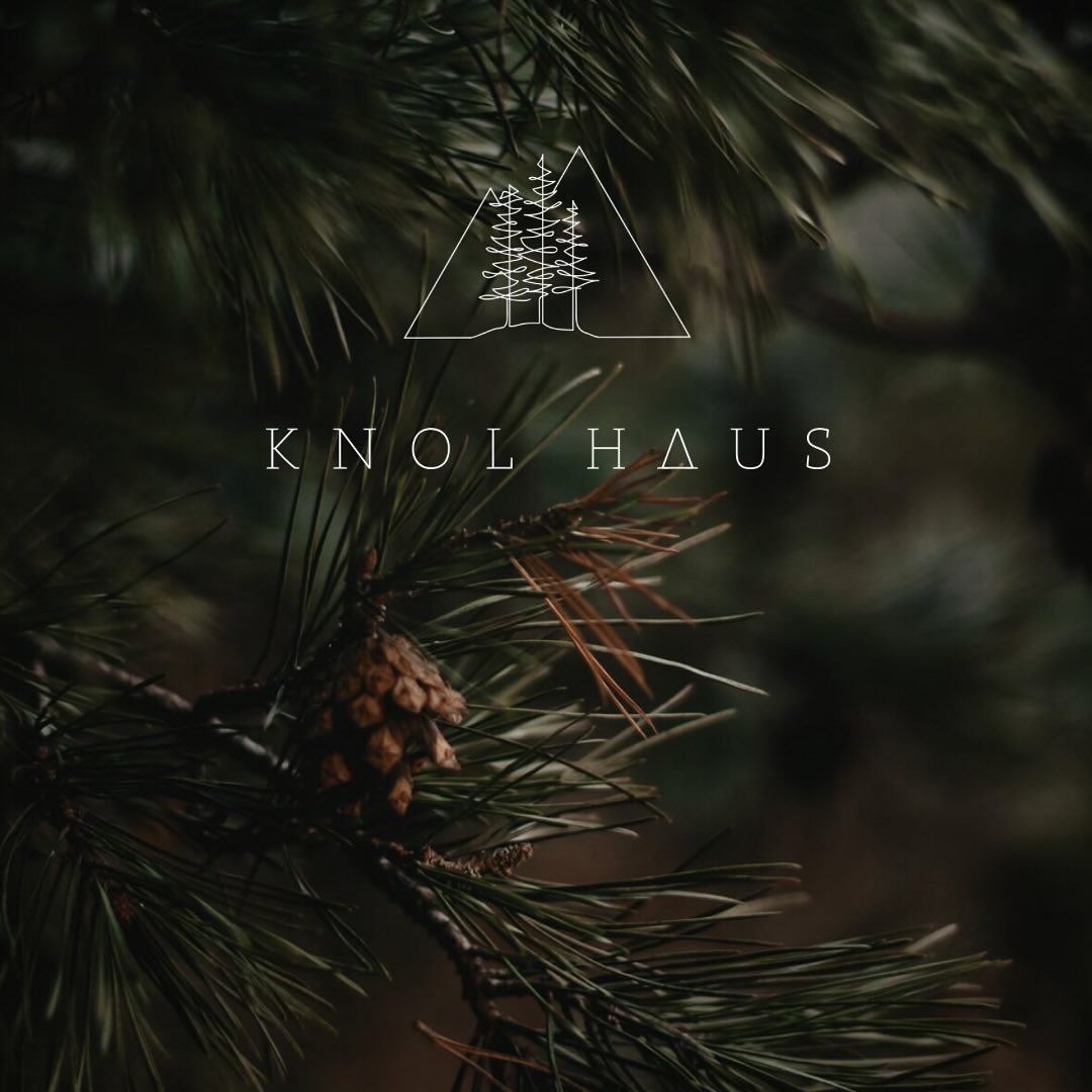 There’s a massive ponderosa pine on the property, and at first, the plan was to cut him down — too much sap, too many needles. Thanks to the grace of time, our minds have changed. Meet Haven ↟ our ever-patient mascot