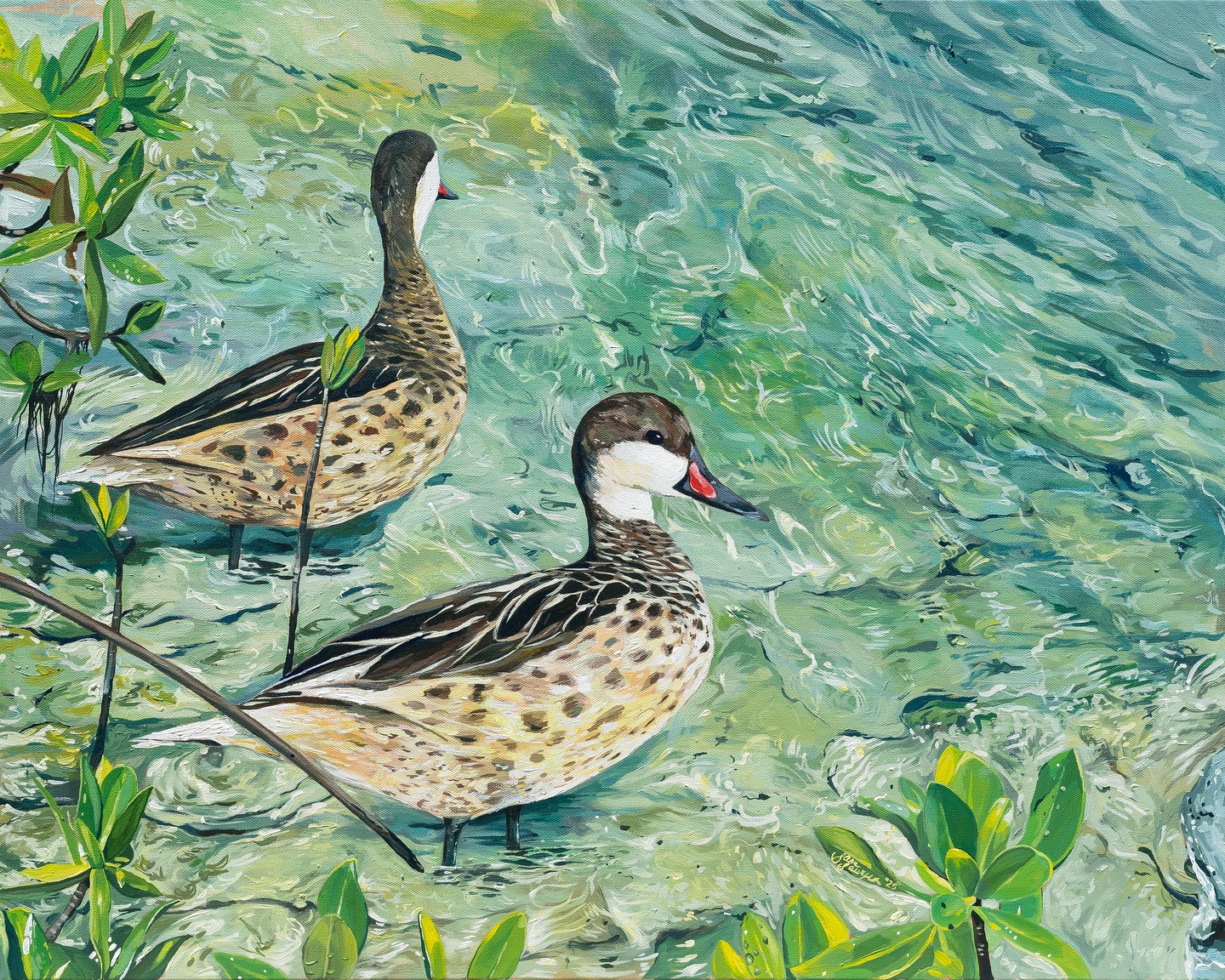 “Bahama Pintails (Double Trouble)”
Acrylic on canvas | 24” x 30”
1/3