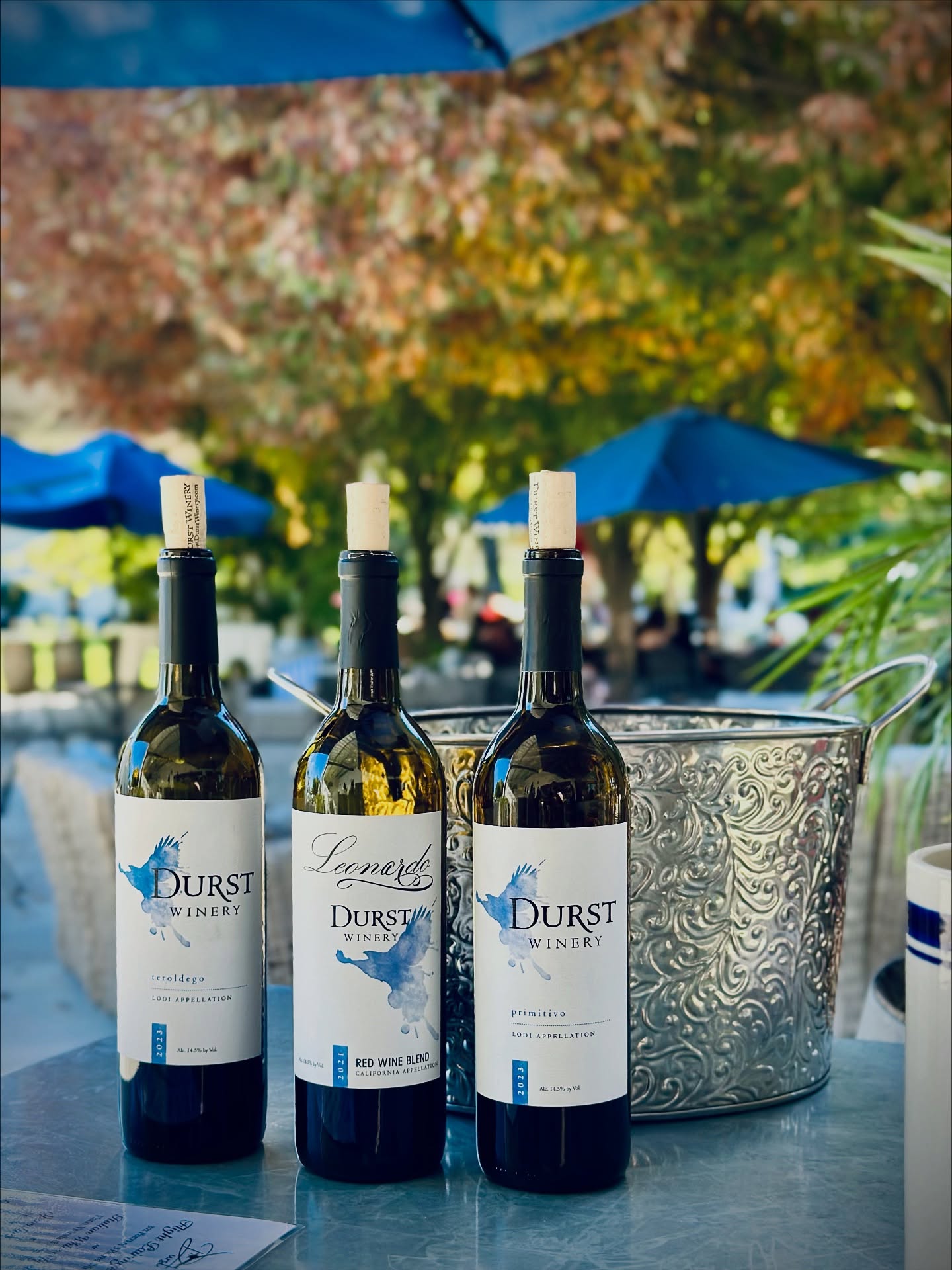 We're soaking up every moment of this gorgeous season! Cozy autumn afternoons at Durst Winery & Estate means stunning scenery, great company, and endless wine. Join us this holiday season for a chance to slow down and connect with loved ones.
Visit us Thursday through Monday, 12-5pm, and let’s fill up your glass!
#durstwinery #autumnvibes🍁 #thankfulseason #redredwine #visitlodi #wineandweddings #lodiwine