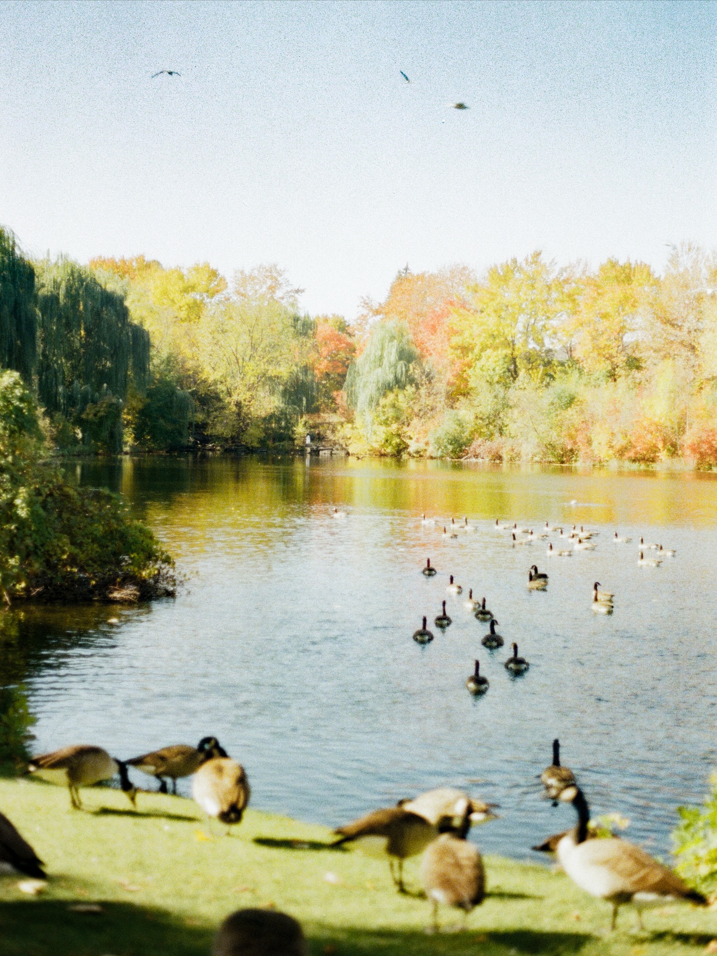 One day in the fall of 2024
-
#filmcamera #film #camera #photography #mood #moodygrams #instagood #lomography #日常 #color #colorfilm #analoglove #filmy #canonae1 #kodak #montreal #canada #fall #autumn #🍁 #🇨🇦