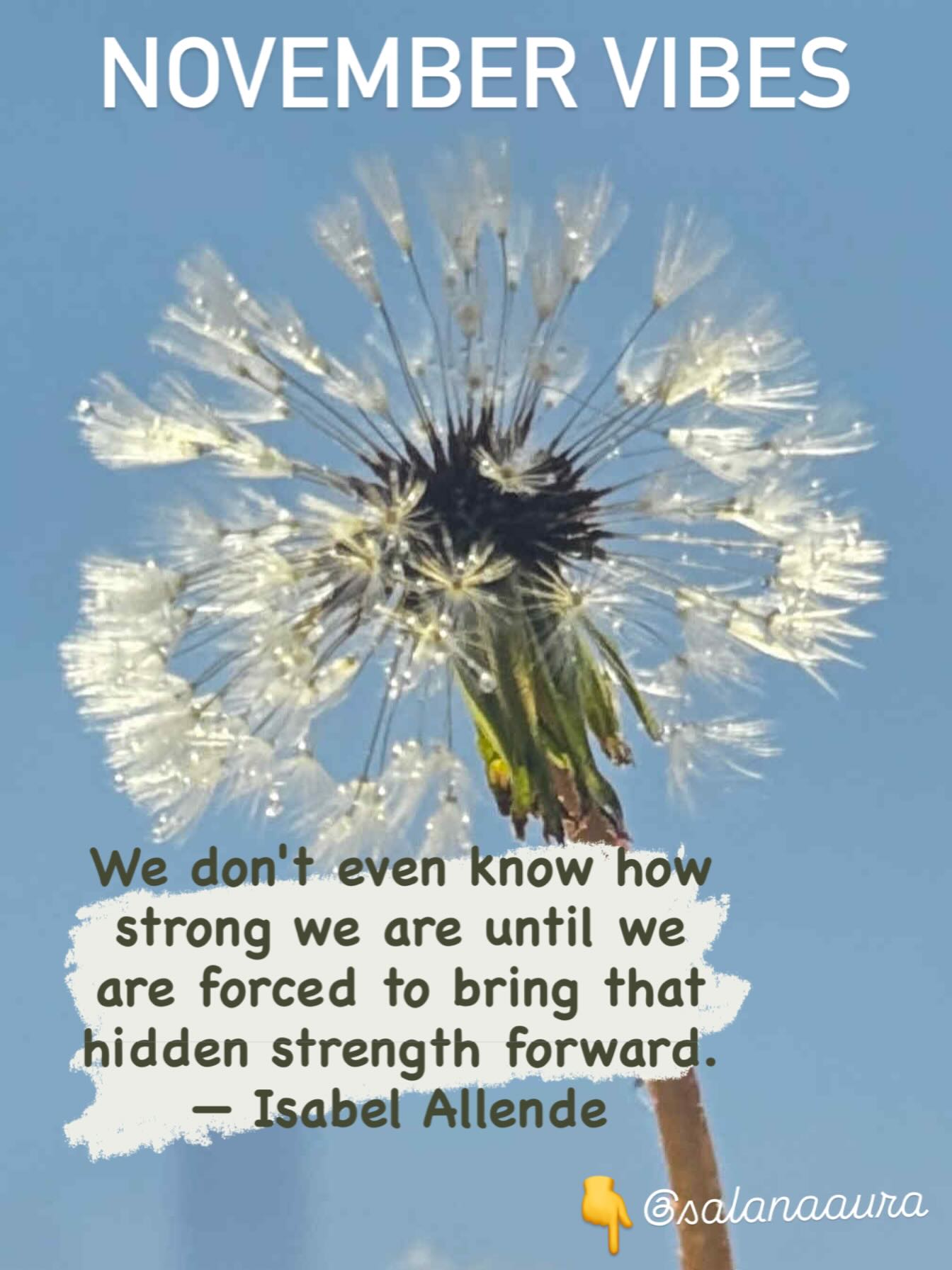 Isabelle Allende often blends magical realism with themes of feminism, social justice, and Latin American history to inspire women across lands.
Resilience & Adaptability is feminine energy which helps us to grow in difficult conditions.
Just like a dandelion nature seeming fragile yet can grow in sidewalk cracks symbolizing hope and transformation, Feminine nature brings strength, perseverance, and spirals to overcoming adversity.
If you saw this post, know that Your Resilience does not come from patriarchal headstrong power chase,
It actually comes from spiraling feminine flow of rest and renewal, allowing and flowing, focusing on solutions and not the problems.
Take good care,
Sending love❤️
#salanaaura #mindfulcoaching #isabelallende