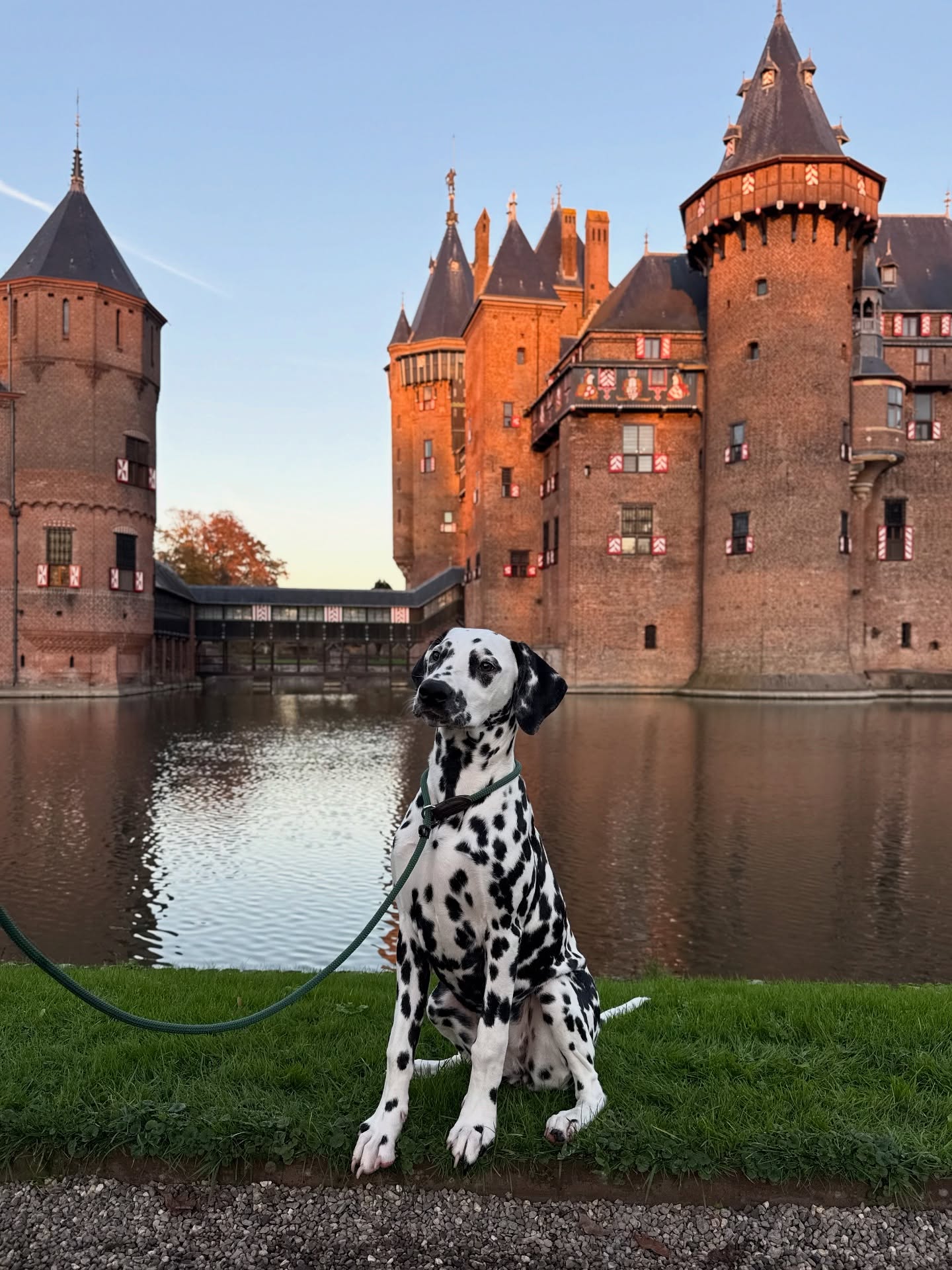 Heerlijk gewandeld met Asta door de tuinen van Kasteel de Haar tijdens golden hour💛