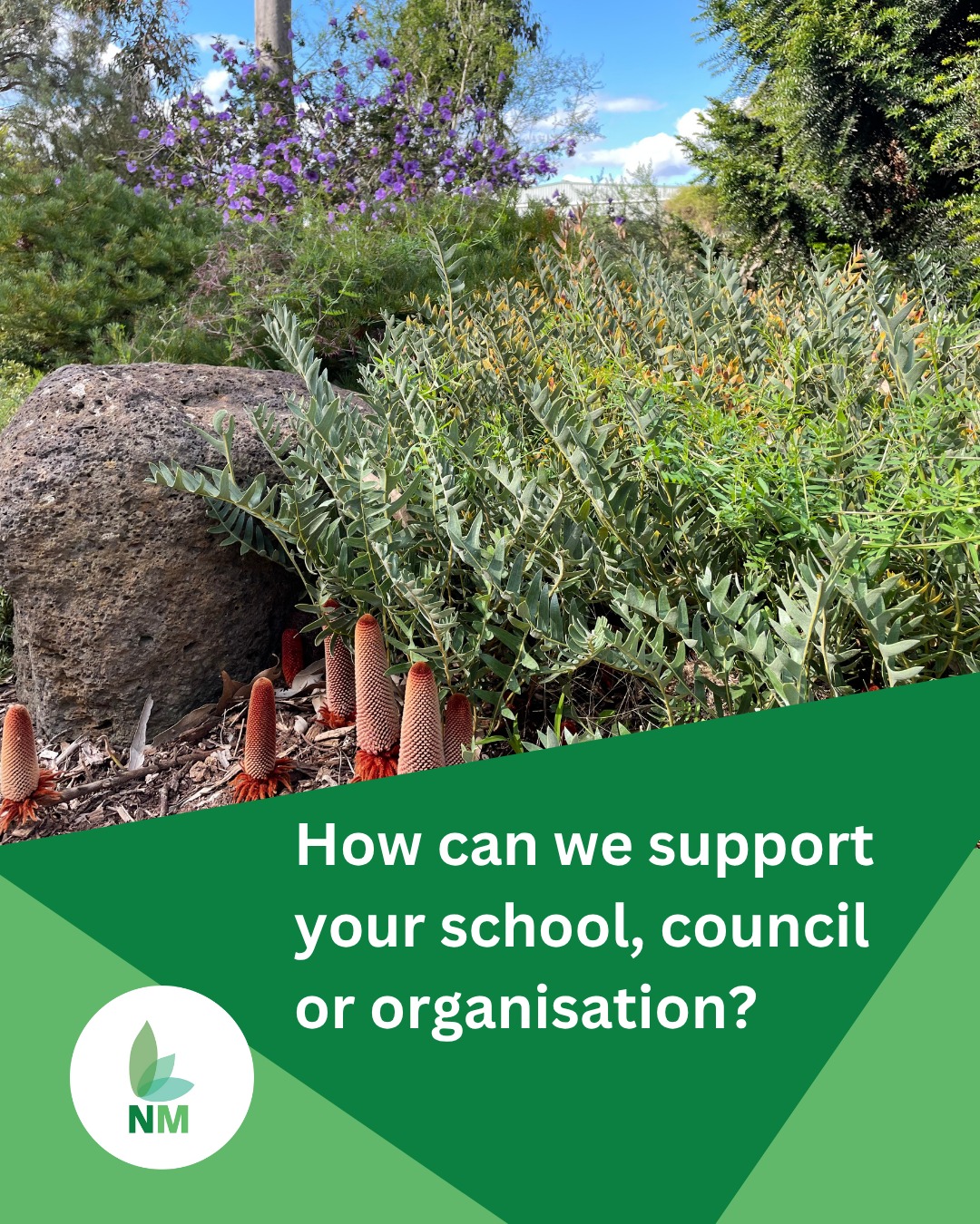 How can we support you? From forest design to planting days, biodiversity monitoring to education workshops - we follow design and installation principles to make sure every project is tailored to your space, goals, and community.
We work with schools, councils and organisations to grow nature where it’s needed most. Reach out to our team by DM or via our website to chat with us and see if a micro forest might be right for you!🌳
#NatureMakers #MicroForests #UrbanGreening #ClimateAction