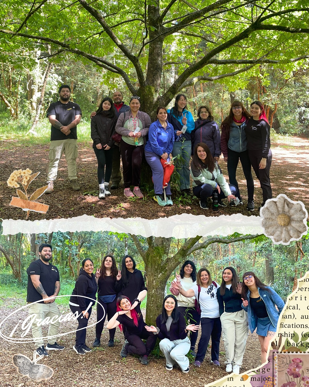 Baños de Bosque – Jornada 9 de Noviembre
Momentos que hablan por sí solos: luz, naturaleza, historias compartidas y presencia plena.
Gracias a quienes fueron parte de esta experiencia en nuestras jornadas AM y PM.
Seguimos creciendo y conectando junto al bosque porque “lo que no se ve, también crece” 🌱
#BañosDeBosque #ShinrinYoku #RamariaConsciente #BienestarEmocional #ConexiónConLaNaturaleza #Ecopsicología #SaludMental #Mindfulness #Autocuidado