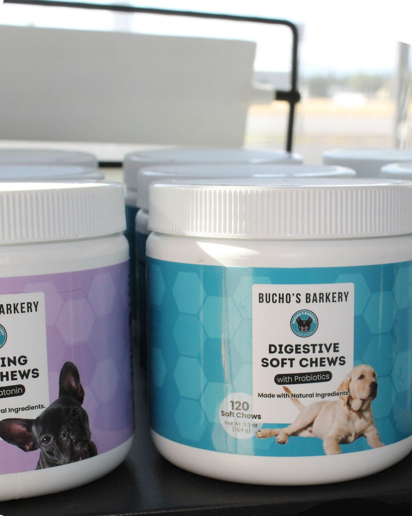 Back in stock and ready to ship! 👏
A selection of Digestive, Hip & Joint, and Calming supplements are here and ready to support your pup’s health journey!
buchosbarkery.com/product-page/buchos-digestive-supplements
#dogsupplements #pethealth #naturalpetcare #healthydogs #petnutrition #buchosbarkery