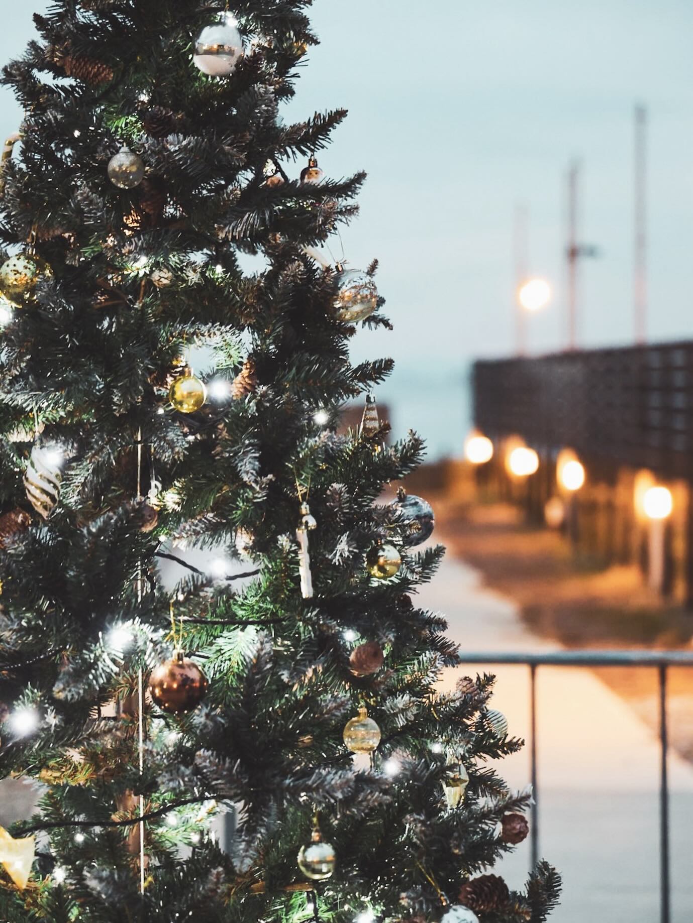 エイトポイントリゾート淡路島です🙌
淡路島もだんだん寒い日が増えてきました🥹
エイトポイントはクリスマスモード全開です🎅✨
クリスマスグランピングも、まだご予約間に合いますよっ🎄
寒くても頑張ってBBQをしたいお客様大歓迎で