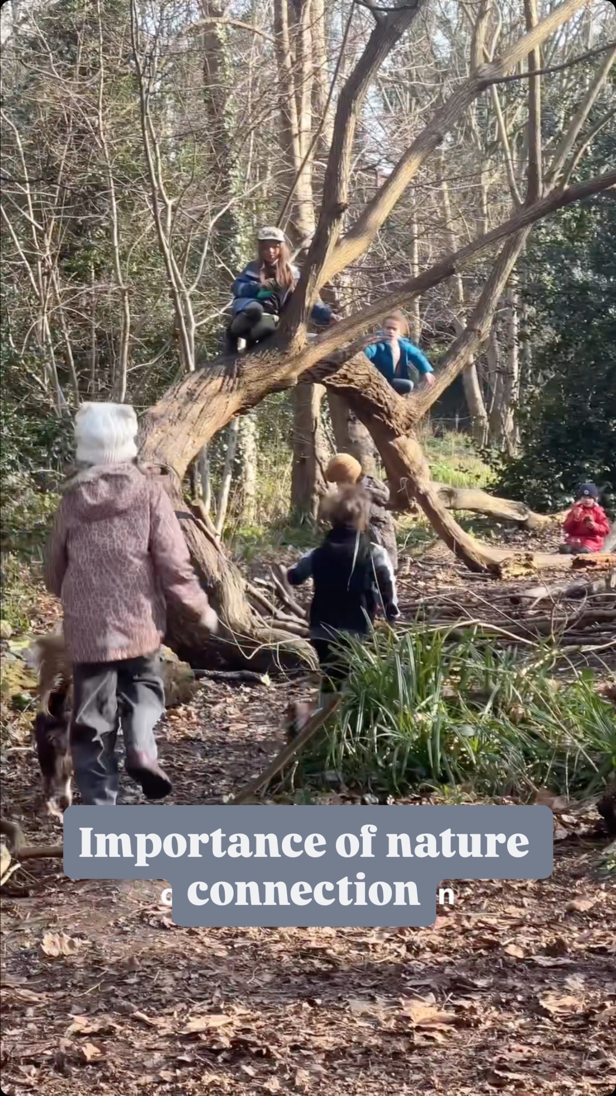 How has your connection, or lack of, impacted you?
This article in @guardian discusses some new research about the way our environments impact our internal health. It’s quite beautiful!
#natureconnection #forestschool #wildplay #biophilia #naturewellbeing