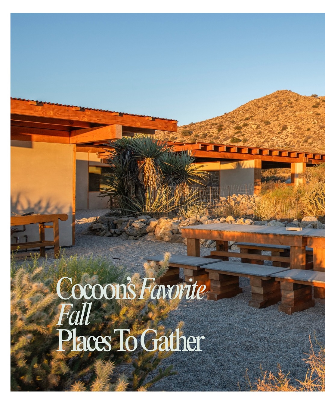 This season, we’re leaning into the quiet, restorative magic of gathering. Fall invites us to slow down. To rest, reconnect, and be present with the people we love.
At Cocoon, our homes are intentionally designed to be a soft place to land. They feel like home but without the pressure of feeling like you have to host.
These are the spaces where the noise fades and connection takes center stage.
Here are a few of our favorite fall retreats for doing just that:
+ Masseria Sylvestre: A breathtaking study and intentional design. Here, the serene minimalist architecture is the container for connection. The Specialty: Finding that perfect, silent corner for deep conversation, where sunlight and shadow are your only witness.
+ Mars Landing: Pure desert alchemy. A place where the vast, peaceful, landscape strips away distraction, allowing creativity and joy to flow. The Specialty: Nights spent under the staggering dark sky, creating memories that feel entirely outside of time @marslandinghouse .
+ Masseria Morongo: A master class in old-world texture meets new-world ease. The grounds invite long meandering walks before collapsing into luxurious comfort. The Specialty: Grand, yet intimate dining spaces designed to hold warmth and laughter for your whole family @masseriamorongo .
+ Villa Paros: An escape that feels like a whispered secret. This home is about effortless beauty and soft transitions, reminding you to move slowly. The Specialty: Days that begin with sunrise stillness and end with the quiet satisfaction of a life well lived together @ciel_homes .
This is your invitation to gather your people, release the “should’s,” and just be.
Find your holiday sanctuary at the link in our bio.
PC: @nolasco_studios @mattieoneillhomes .
#fallescape #gather #familytravel #falldestinations #homefortheholidays #joshuatreevacationrentals #joshuatreeretreat #travelgram #holidaytraveltip #archdaily #homes #beautifuldestinations #travel