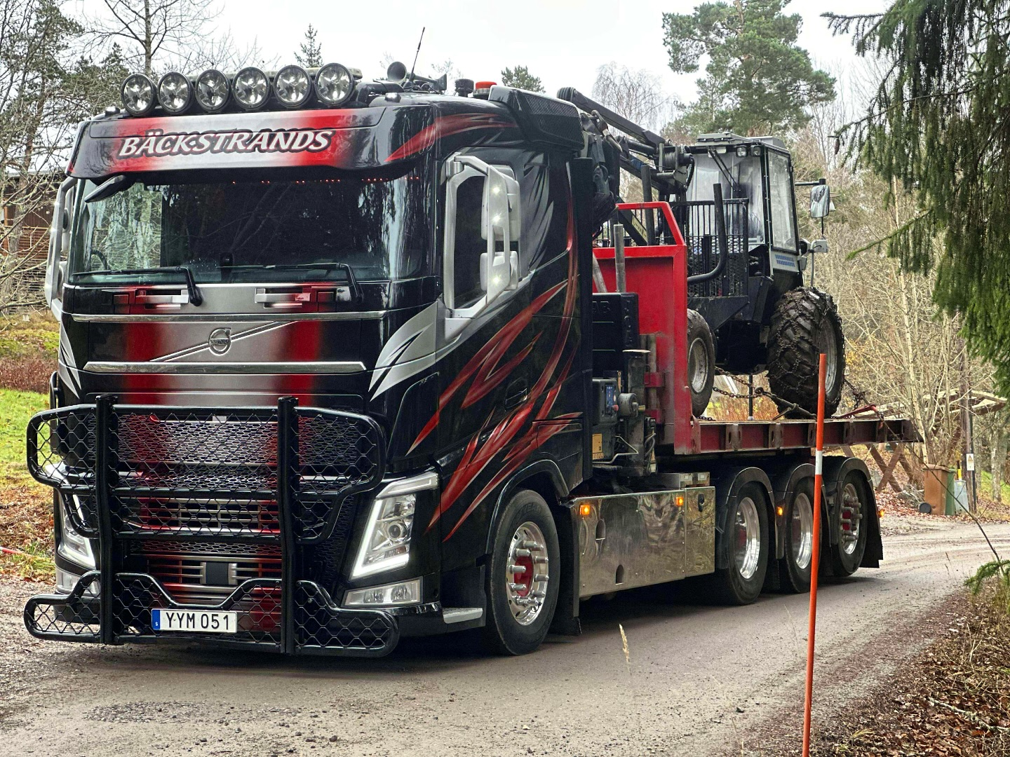 Lill-lördag 😎👊