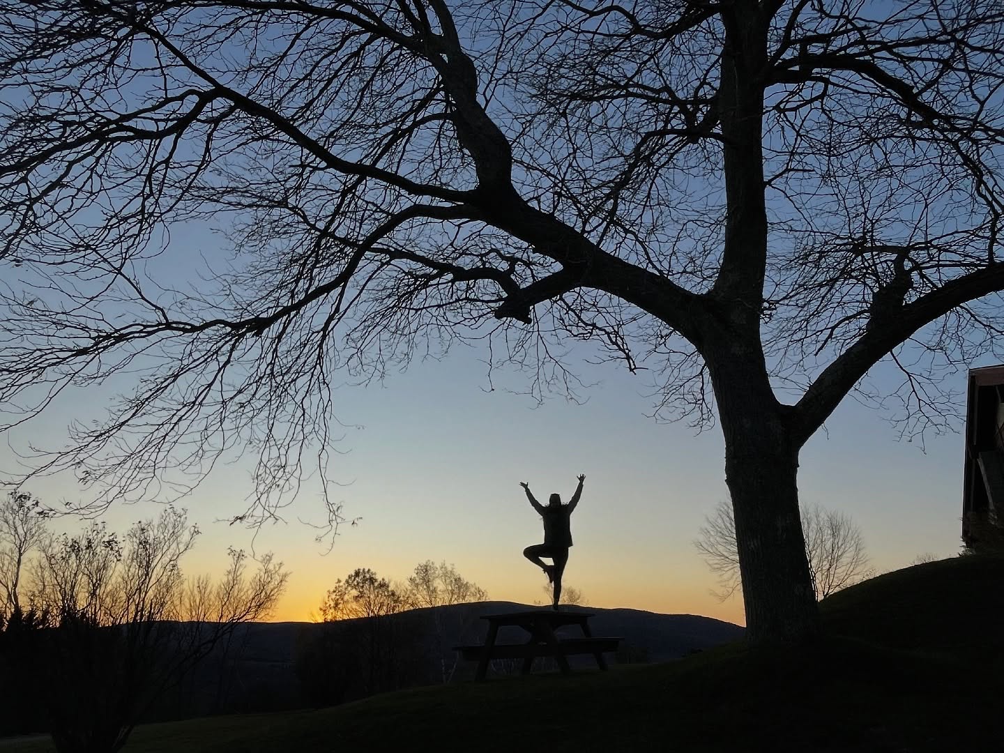 Your body can be a safe place.
Body-based psychotherapies can teach clients how to first tolerate and then later befriend their internal experience.
Instead of constantly avoiding what happens in the inner world, clients learn to build presence.
The initial crack of presence, with consistent inquiry and practice, can become as deep as a canyon. The body and mind- once hellish and overwhelming- become the resource for peace.
This is part of how us humans are designed. Our modern norms have made us forget that. Our bodies were never meant to be places we exile ourselves from. May we return back home to them, with love, and soon.
#dancemovementtherapy #somatictherapy #bodybasedtherapy #authenticmovement #windowoftolerance #presence #bodylove