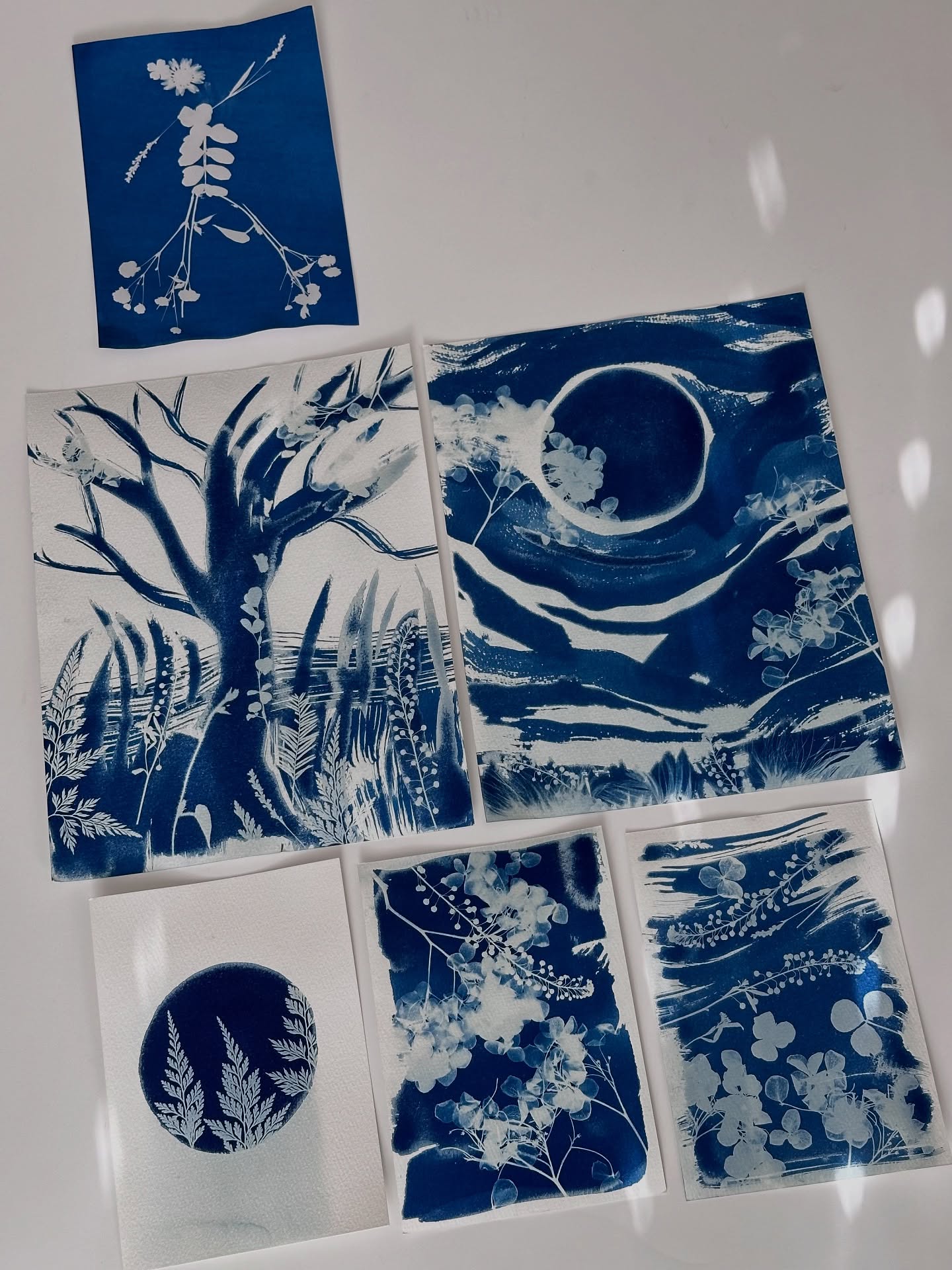releasing my first cyanotype originals (and prints!) into the world 💙
i will always treasure this first experience of creating cyanotypes!
feeling a little worn down on the day of the workshop, i was hesitant to even go
after hearing about the photographic process, we were instructed to paint this light sensitive solution onto our paper and then let it dry in a dark room
i painted the solution on with intuition
feeling tired gave me the space to not overthink what i was doing
one by one i took each paper out of the drying area, placed pressed botanicals on top, then let them transform in the sunlight
after rinsing the solution off, the paper transformed into this mesmerizing prussian blue
when i got home, i laid each photo down in the order they were created
i began noticing moments where one flowed into the next
this art “simply happened” as it was meant to
these pieces will always hold a special place in my heart!
may they bring peace and joy into your space <3
#cyanotypeprint #cyanotype #phoenixartist #arizonaartist #natureartist