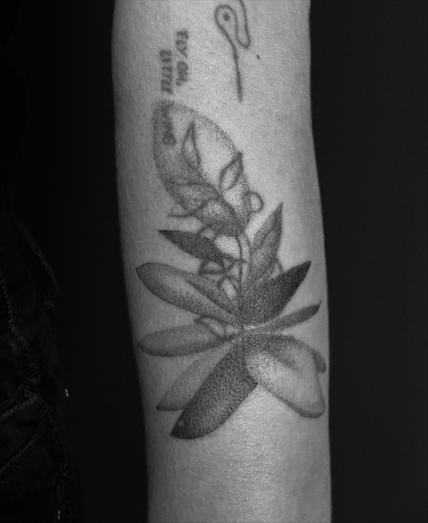 sukkulente als blast over
merci hanna
#succulenttattoo
#sukkulente
#planttattoo
#botanicaltattoo
#finelineart
#dotworktattoo
#blackandgreytattoo
#blastover
#coveruptattoo
#armtattoo
#tattooartwork
#botanicalink
#handpoketattoo
#slowtattooing
#weimartattoo
#erfurttattoo
#jenatattoo
#leipzigtattoo
#dresdentattoo