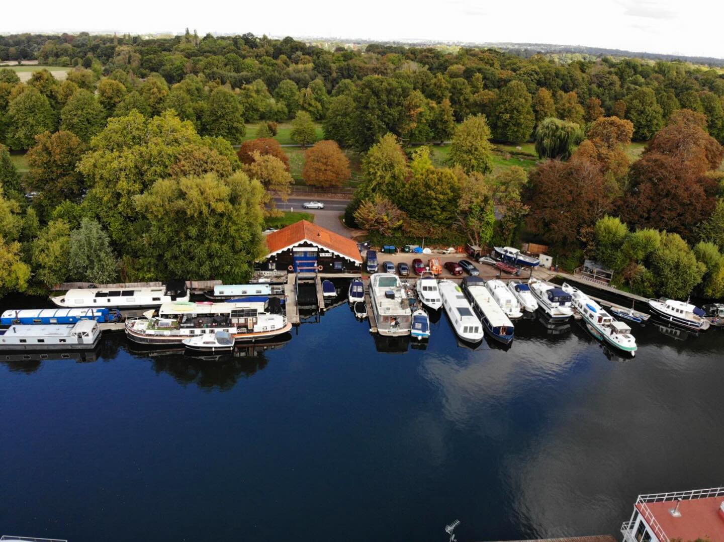 Spot the boatyard🌳🌳🌳