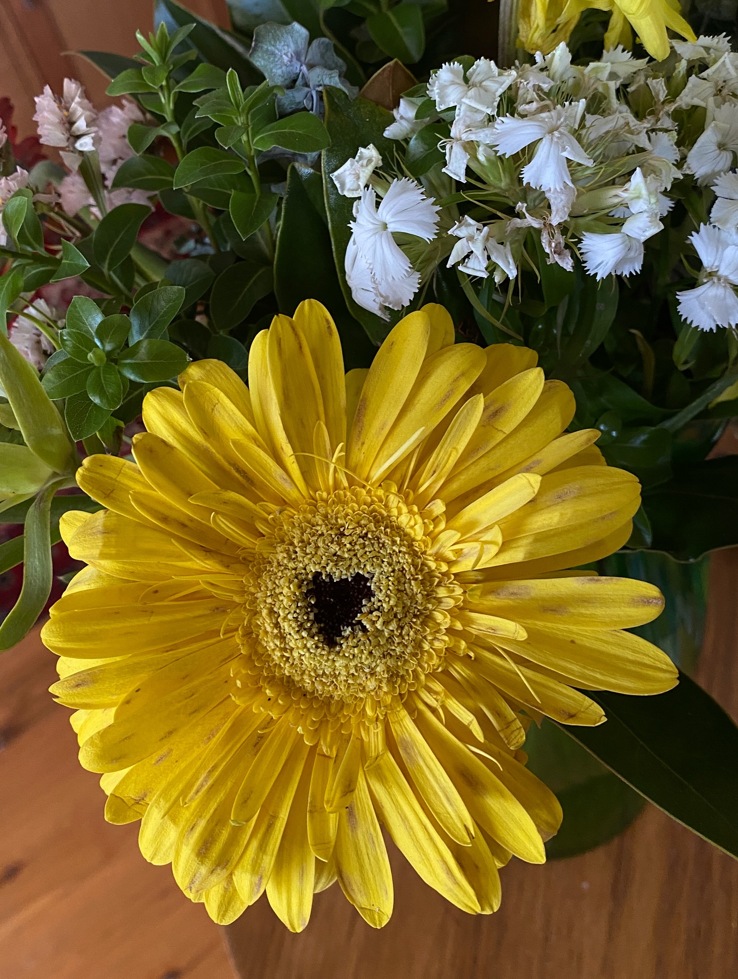 When you put your heart in the middle of things. A little love from Gerbera as I finish writing a script for 2026.
Sharing a pretty photo on the grid, throwback to when that was the whole point of Instagram
#heartsandflowers #gerbera #lovestory #weddings