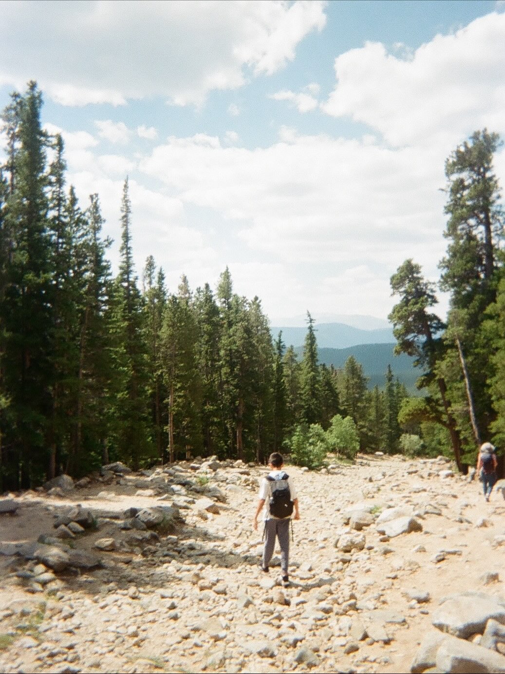 Summer on film 🎞️