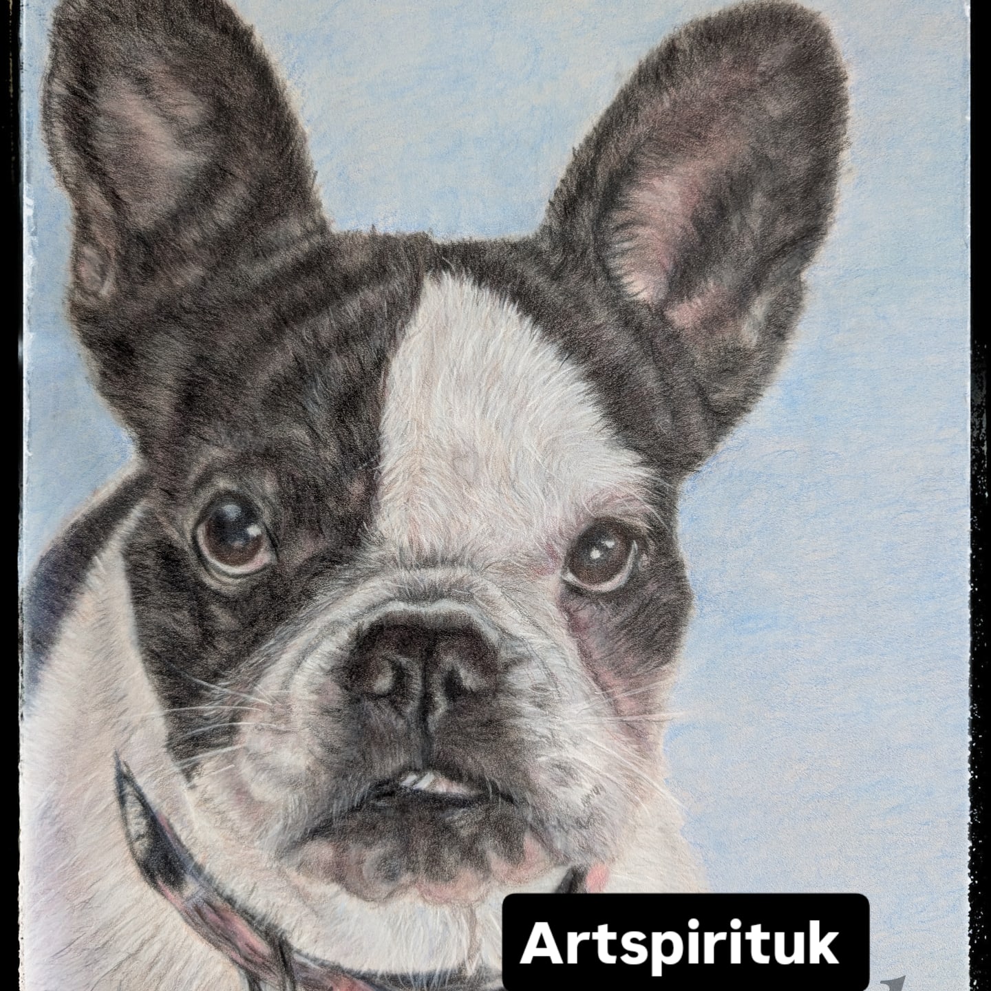 Portrait of a very very special french bulldog loved dearly by owners. Portrait created with coloured pencil on pastelmat board. #french bulldog#dogowners #art collectors #artists#galllery
