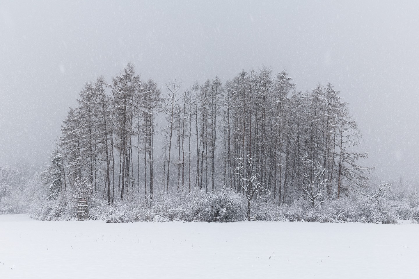 A hazy shade of winter.
Back in 2023 we had a sudden return of winter in Spring and was able to capture this little panoramic shot. The conditions created a perfect mixture for very minimalistic photos. I went to one of my favorite aspect ratios for this photo and created a panorama out of 5 single images. Usually, I would do a black-and-white conversion but somehow I like the little spots of color in the woods. I’m patiently waiting for winter.