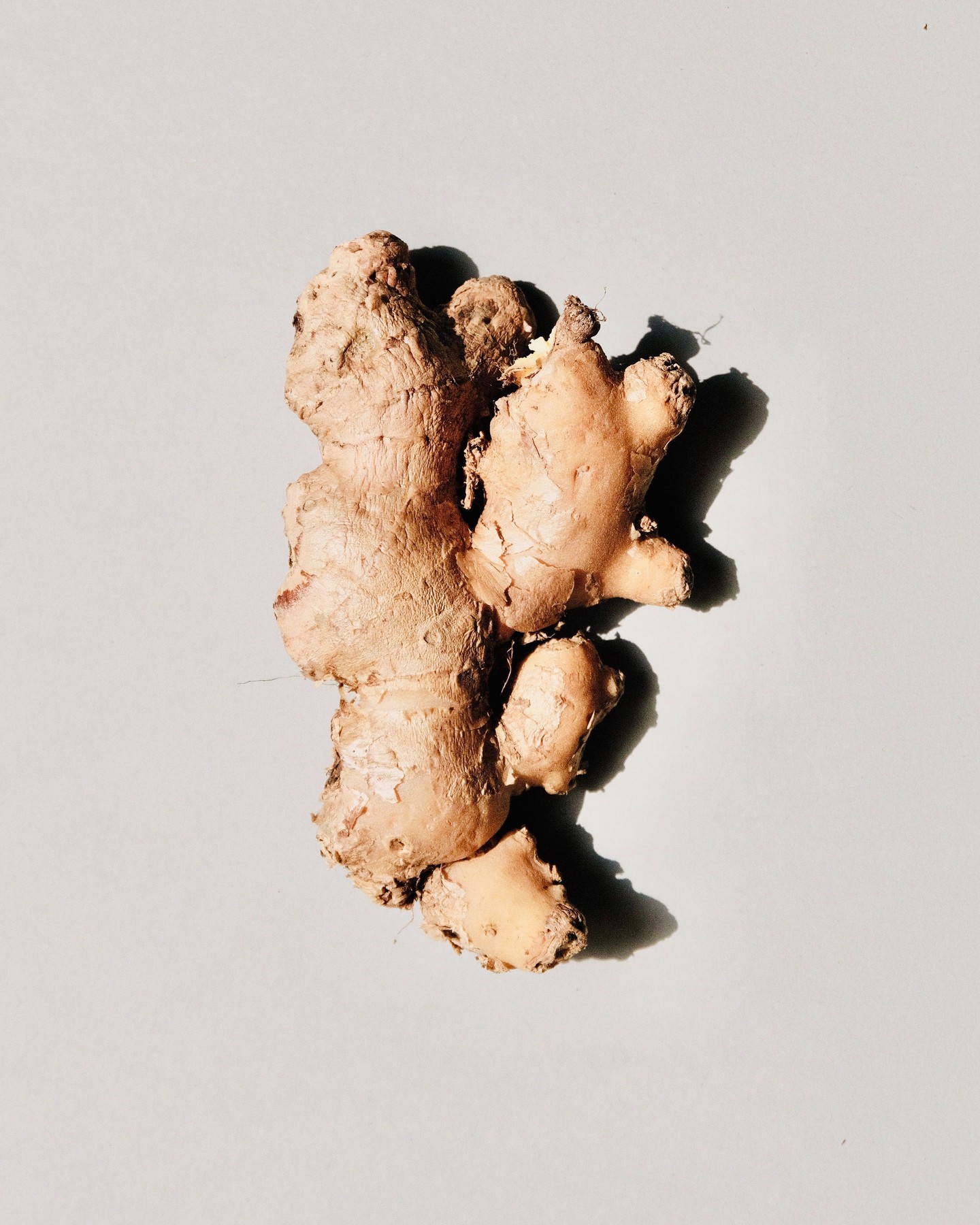 Are you feeling cold all the time? 🤔 If so, you may want to begin incorporating ginger into your diet! It's warming properties can help increase your body temperature and help alleviate symptoms of blood deficiency. 💪
It can also aid in digestive problems and help kick out colds or the flu. 🤒
Follow @apothekure for your dose of wellness.