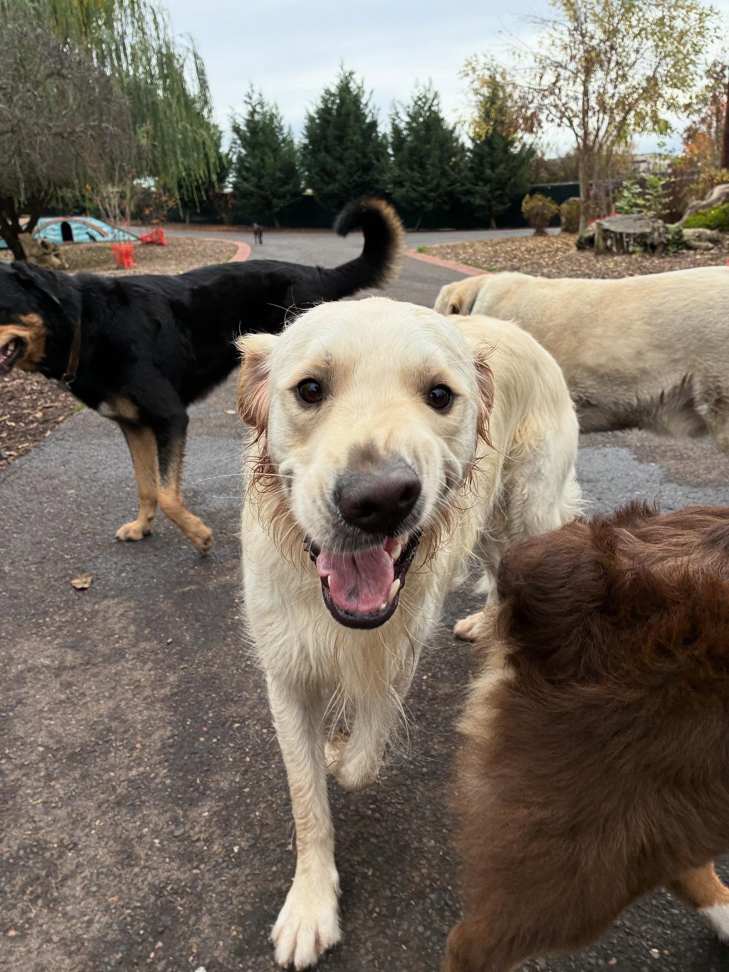 Happy Saturday!! 🍂🐾