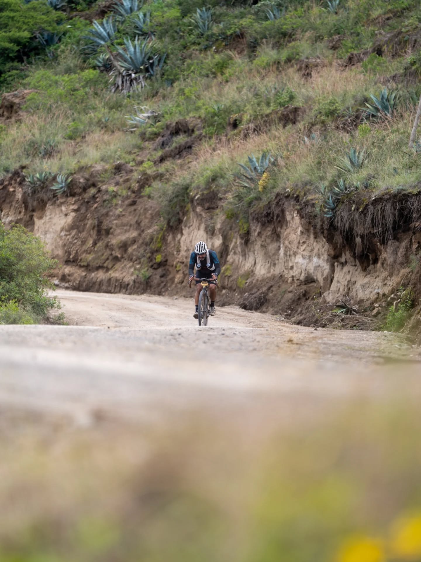 Terminamos la #TransEcuador y de las cosas que nos quedaron es que las carreras autoabastecidas son maravillosas. Eso nos permite interactuar con el medio, con los pueblos, con la gente por donde se desarrolla el evento. Aportamos nuestro granito de arena a esas economías locales.
En el #gravelfest por favor no lleves motos de acompañamiento, sal con lo que vas a necesitar para toda la ruta, re abastece tú hidratación y alimentación en las tiendas de esos hermosos pueblos que vas a encontrar en ruta. Lleva sueltos para que las transacciones sean más rápidas, y recuerda que la gente del lugar no tiene porqué ponerse en modo carrera solo porque tú estás en carrera. Acoge la vida relajada y sin stress del campo.
@setecientos.cc
@lap.ccc
@toscana.alimentos
@specializedec
@shimanoecuador
@593premiumlager
@naturhotel_
@deportistasaotronivel