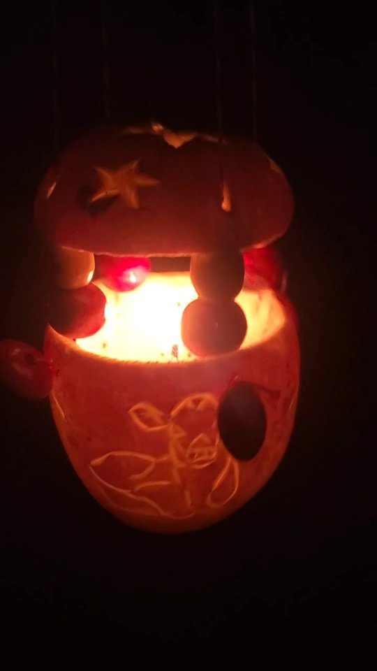 T R A D I T I O N im November🕯
Jedes Jahr schnitzen die Väter für ihr Kindergarten-Kind eine Räbe. Dieses Jahr wünschte sich Madlaina ein Bild von Kiano.
#biohof_rofel #langwies #schanfigg #arosa #tradition #herbstzeit #herbst #räbenliechtli #räbenliechtliumzug #kinderlächeln