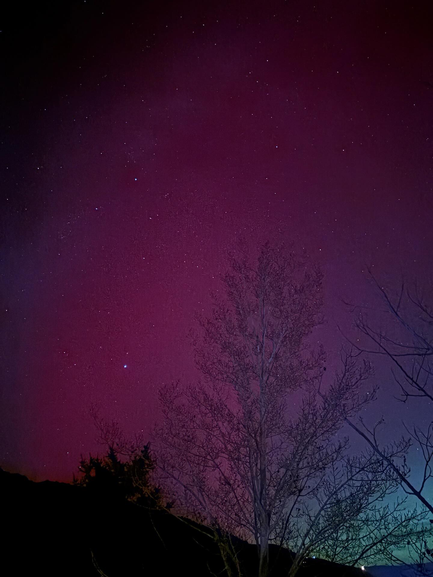 Last night, under the 11/11 sky, the Aurora Borealis danced above Colorado — a living veil of light shimmering through the same constellations guiding Mercury, Jupiter, and Saturn in their retrograde rhythm.
Not coincidence, but conversation.
Not spectacle, but reflection.
Aurora means dawn — awakening.
And there it was: the heavens whispering that even in review, we are reborn.
When light meets magnetism, heaven meets Earth.
When we pause long enough to feel, the Universe paints back our inner glow.
May this aurora bless you too — a reminder that the refinement you’re moving through is beautiful, radiant, and divinely timed.
#AuroraBorealis #1111Portal #MercuryRetrograde #JupiterRetrograde #SaturnDirectSoon #ShaktiWisdom #DivineFeminine #LightCodes #Awakening