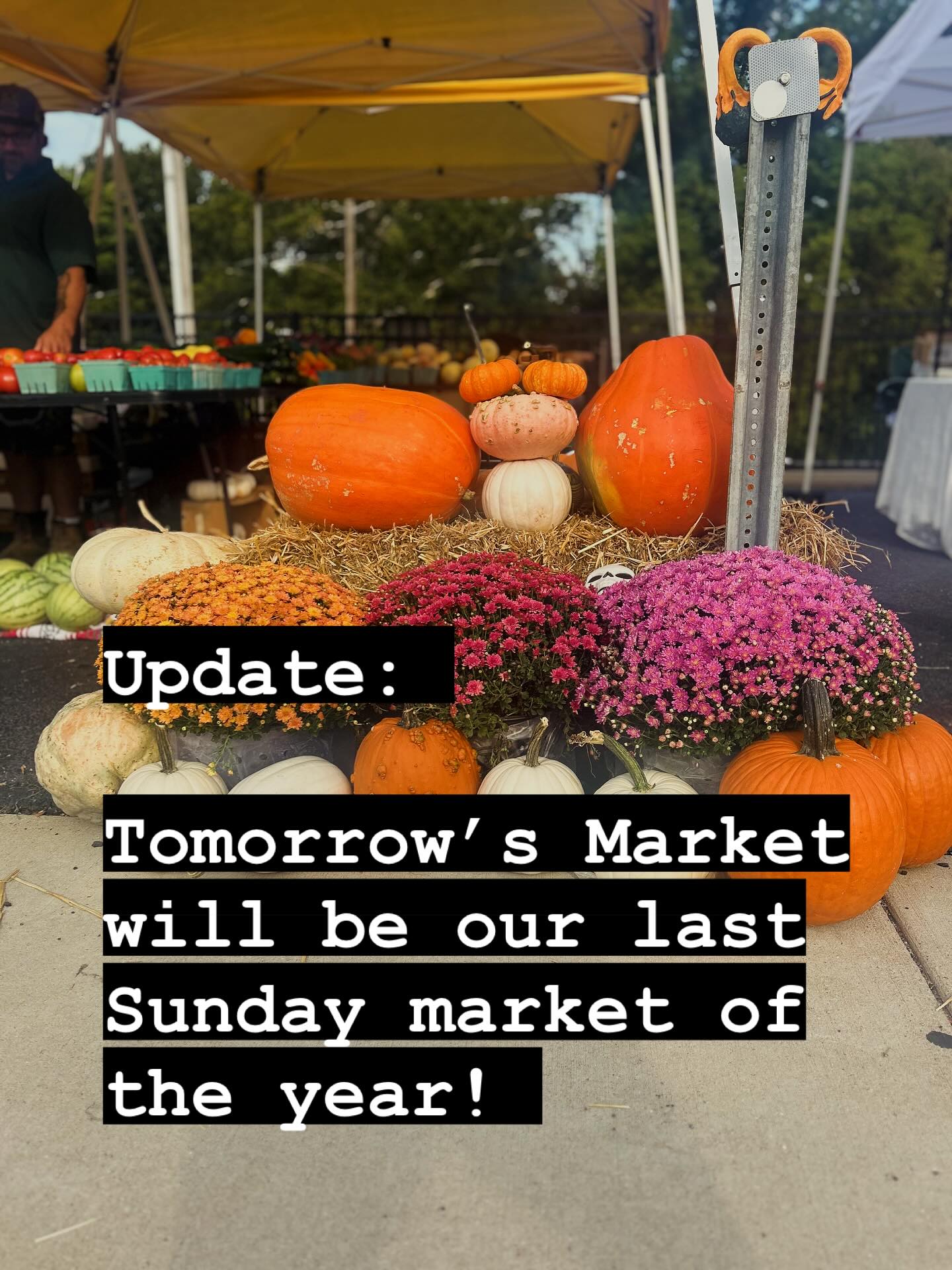 Update from our managers:
We have decided to cancel the Markets that were originally scheduled for Nov 30 & Dec 14th. With it being our first year, we are learning as we go and all that comes with that. Because we are newer and competing with all the events around the city, our attendance has been down. We decided to put all our time and energy towards our Holiday Night Market on Dec 20th from 4-9!
We hope to see you all there, and see you tomorrow for our final day market of our inaugural season!
