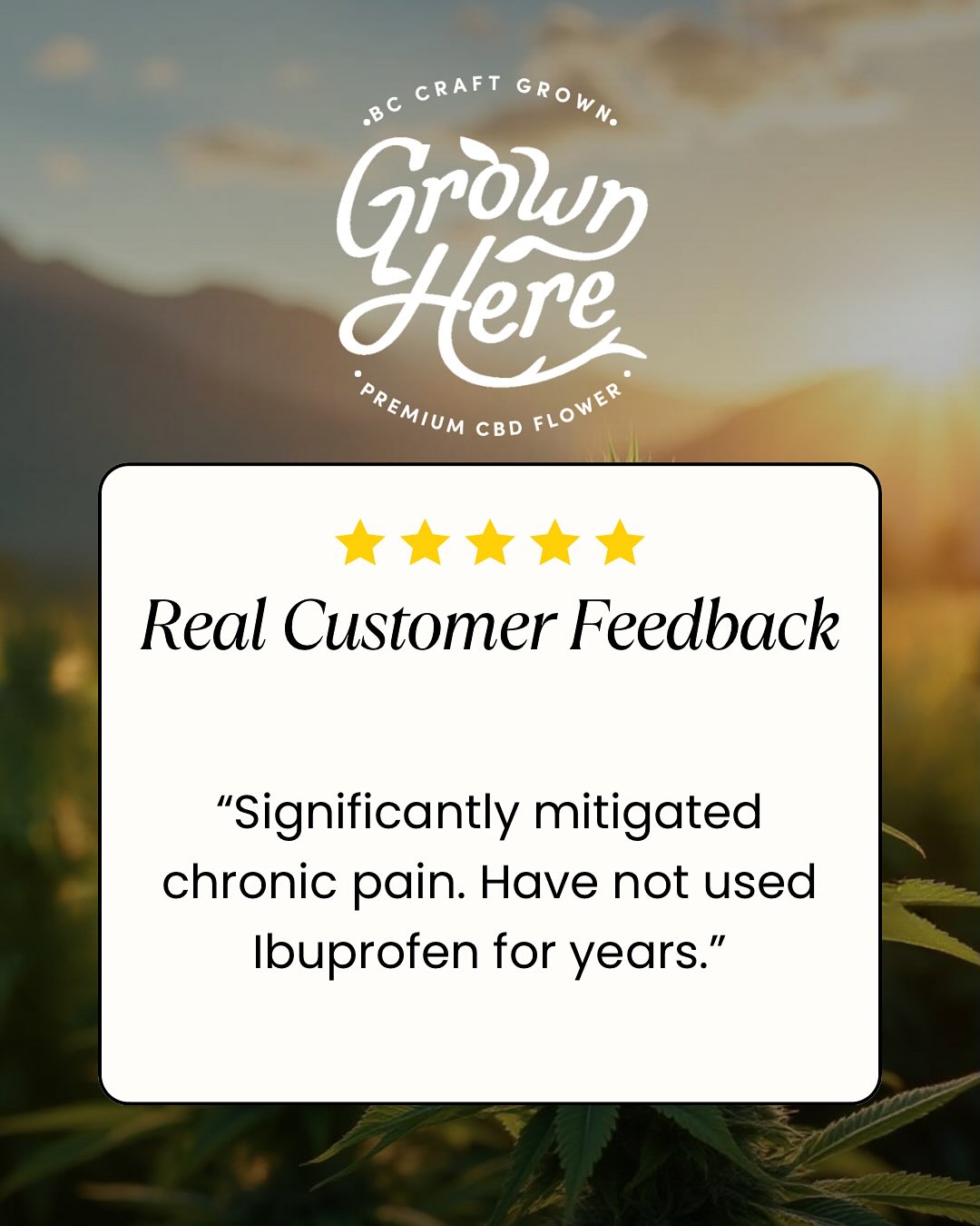 We took a survey of our medical customers to ask them for anonymous feedback on what they used our CBD flower for, how it helped them address their issues and what benefits they received. And the results were really incredible. Here are just a few we put together to help communicate the incredible benefits people get when using our flower. #bestcbdflower #cbd