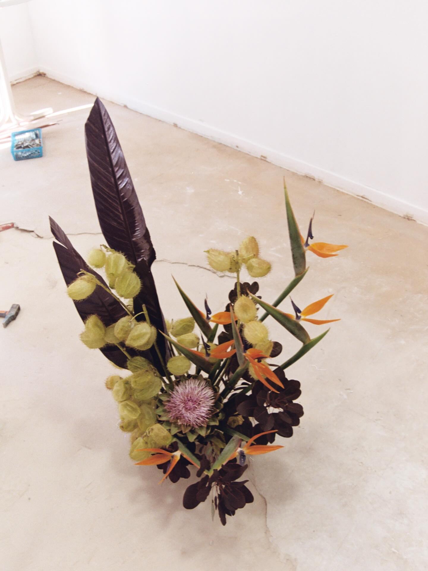 || Le sol en développement & LAS FLORES 💜 ||
.
.
Flores for le Happy Birthday PARTY de @boucheriegras 🎂🎂🎂ambiancée par @tekilatex ☄️☄️☄️☄️☄️
.
.
35mm bb