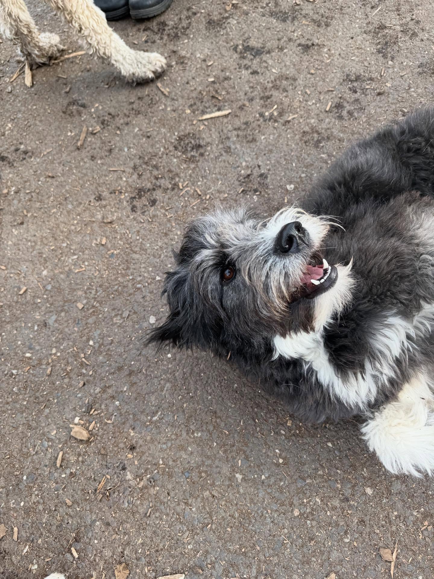 Here are some blurry morning pics 😂😂