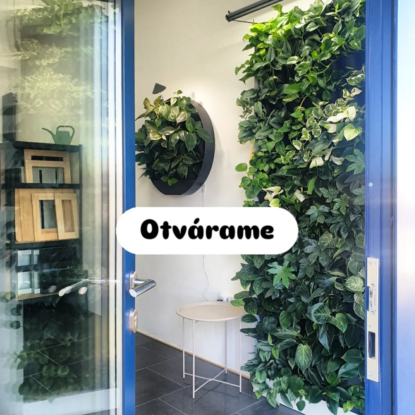 V Košiciach nás nájdete na Popradskej 84. Budeme sa na Vás tešiť po telefonickom dohovore alebo príďte rovno:
Po: 10.00 - 14.00
Str: 9.30. - 13.00
Pia: 15.00 - 18.00
📞 0911 242 003
Zákazková výroba živých obrazov @ziveobrazy
Tvorba záhrad @eo_zahrady