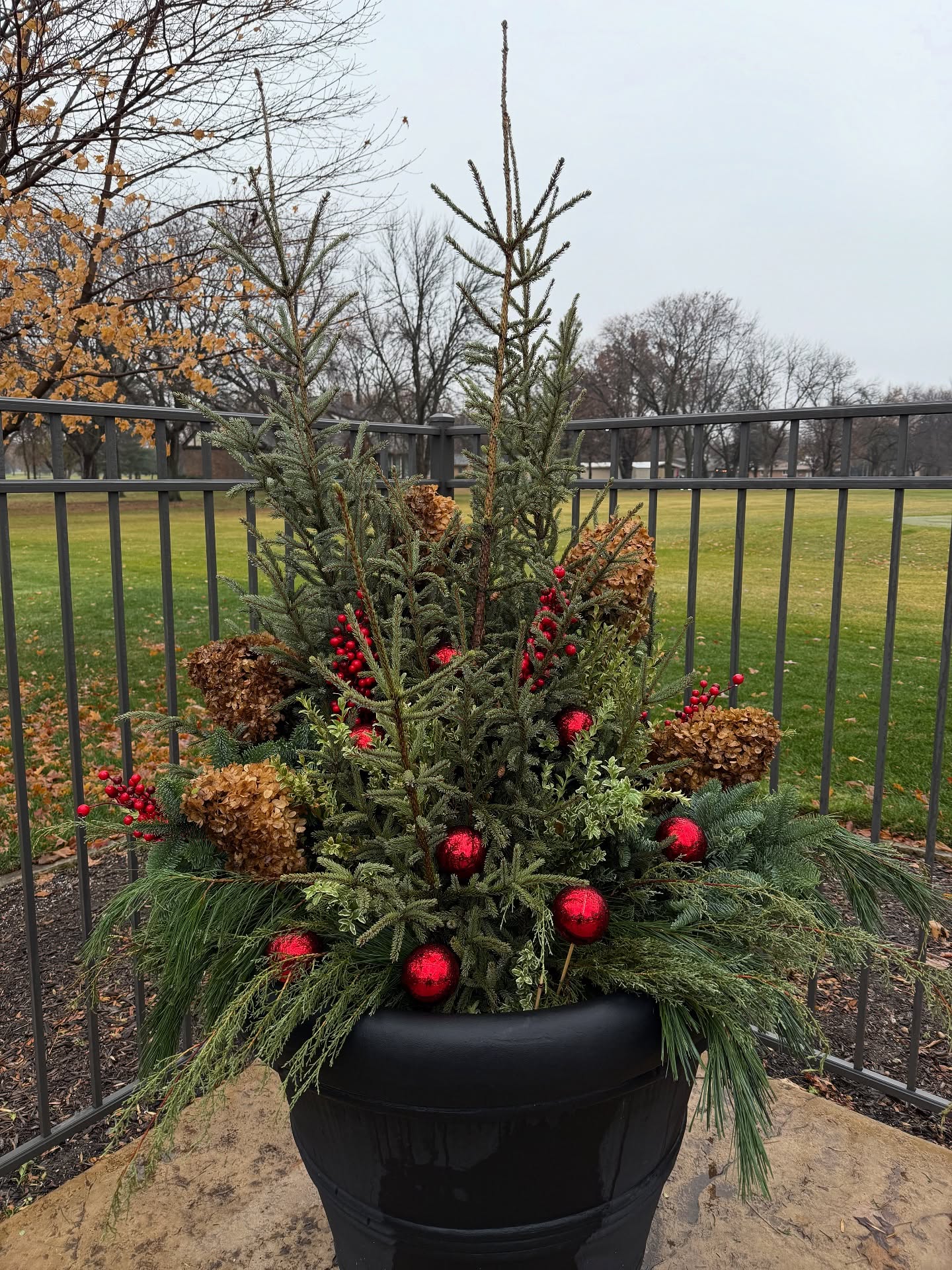 I look forward to doing my winter pots each year - and yesterday’s incoming COLD rain really forced my hand to get them completed.
Nothing like putting the finishing touches on them in 40 degree wind and rain - but they turned out so festive and ready for WINTER ❄️
#asnotedbyme #winterseasonincoming #deckthehalls #lifeasnoted #homefortheholidays