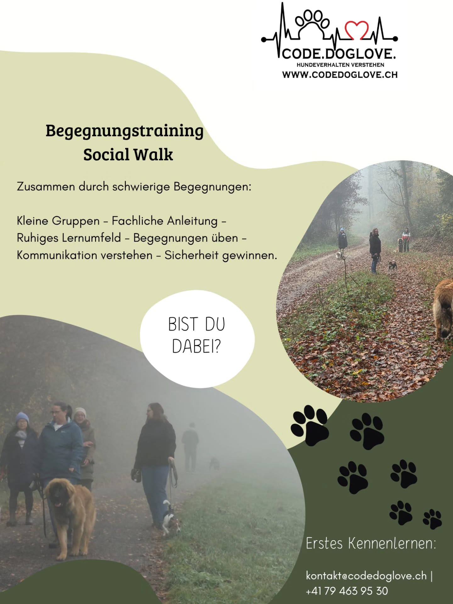 🐾 Begegnungstraining & Lernspaziergänge – Social Walks 🐾
Alle Begegnungsprobleme willkommen!
Ob fremde Menschen, Kinder, Fahrräder, Autos oder – ganz klassisch – andere Hunde:
Bei mir sind alle Hunde mit Begegnungsschwierigkeiten herzlich willkommen. Genau dafür sind meine Social Walks da.
In meinen professionell angeleiteten Kleingruppen lernen Hund und Mensch:
✨ sicherere, entspanntere Begegnungen zu meistern
✨ die Körpersprache der Hunde richtig zu lesen
✨ stressvolle Situationen frühzeitig zu erkennen
✨ mehr Ruhe, Verständnis und Vertrauen aufzubauen
Mit viel Fachwissen, Empathie und einem klaren Trainingskonzept begleite ich euch Schritt für Schritt – damit Begegnungen im Alltag nicht länger Sorgen machen, sondern zu wertvollen Lernmomenten werden.
🐶💬 Bei mir dürfen alle Hunde so sein, wie sie sind – und gemeinsam arbeiten wir daran, dass es leichter wird.
📩 Für ein erstes Kennenlernen melde dich direkt bei mir:
📧 kontakt@codedoglove.ch
📞 +41 (0) 79 463 95 30
🔗 https://www.codedoglove.ch/begegnungstraining