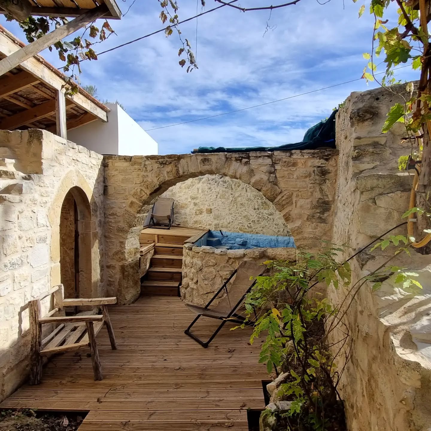 Blue Daisy's blue spot