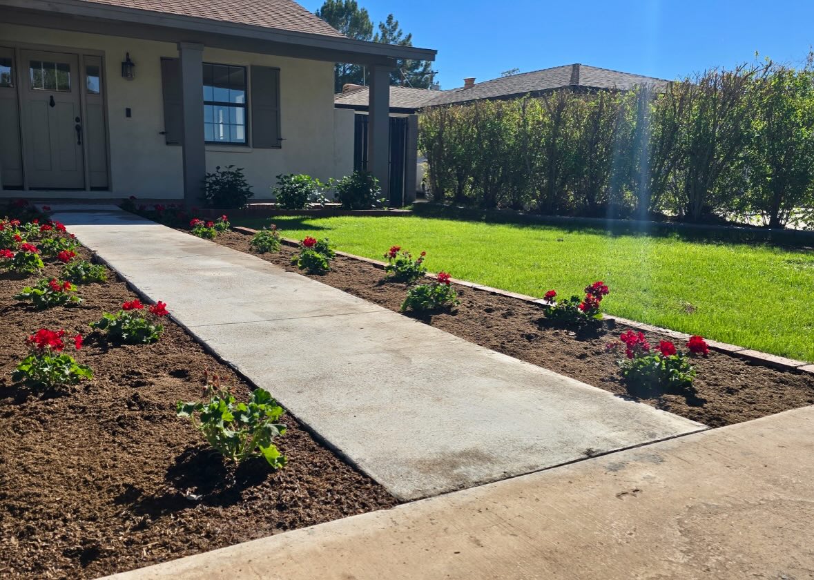 ✨ Front yard refresh ✨
▪️Plant winter lawn
▪️Irrigation repairs
▪️Clean out planters
▪️Plant flowers
▪️Add cedar mulch in planters