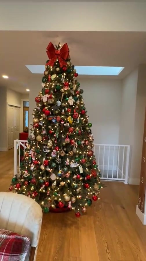 A little Christmas Surprise!