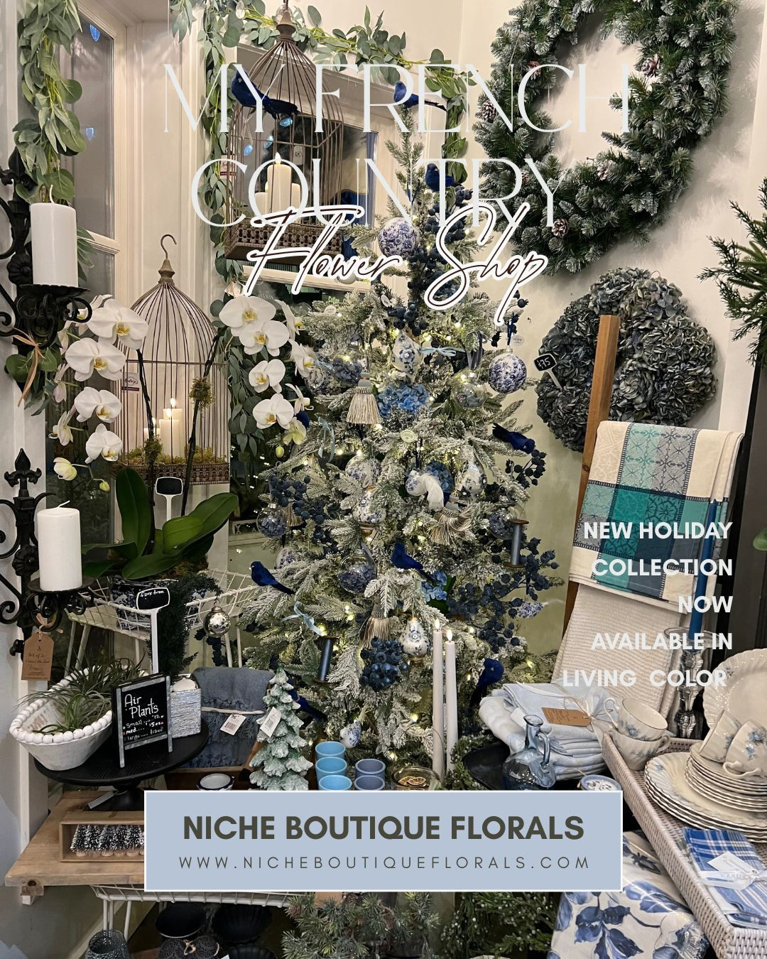 We are excited to present the arrival of our 2025 Holiday Lookbook, now showcased in vibrant colors at our boutique located in Fort Langley. We invite you to experience the enchanting old-world charm of our picturesque town within our French-inspired floral boutique.
Over the past four days, our committed team has been thoughtfully enhancing our boutique to embody the spirit of the holiday season. We invite you to capture your experiences during your visit and kindly request that you tag us in your photographs. @nicheboutiqueflorals #nicheboutiqueflorals #myfrenchcountryflowershop.
.
.
#fortlangleyflorist #langleyflorist #frenchcountrystyle #holidaydecorating.