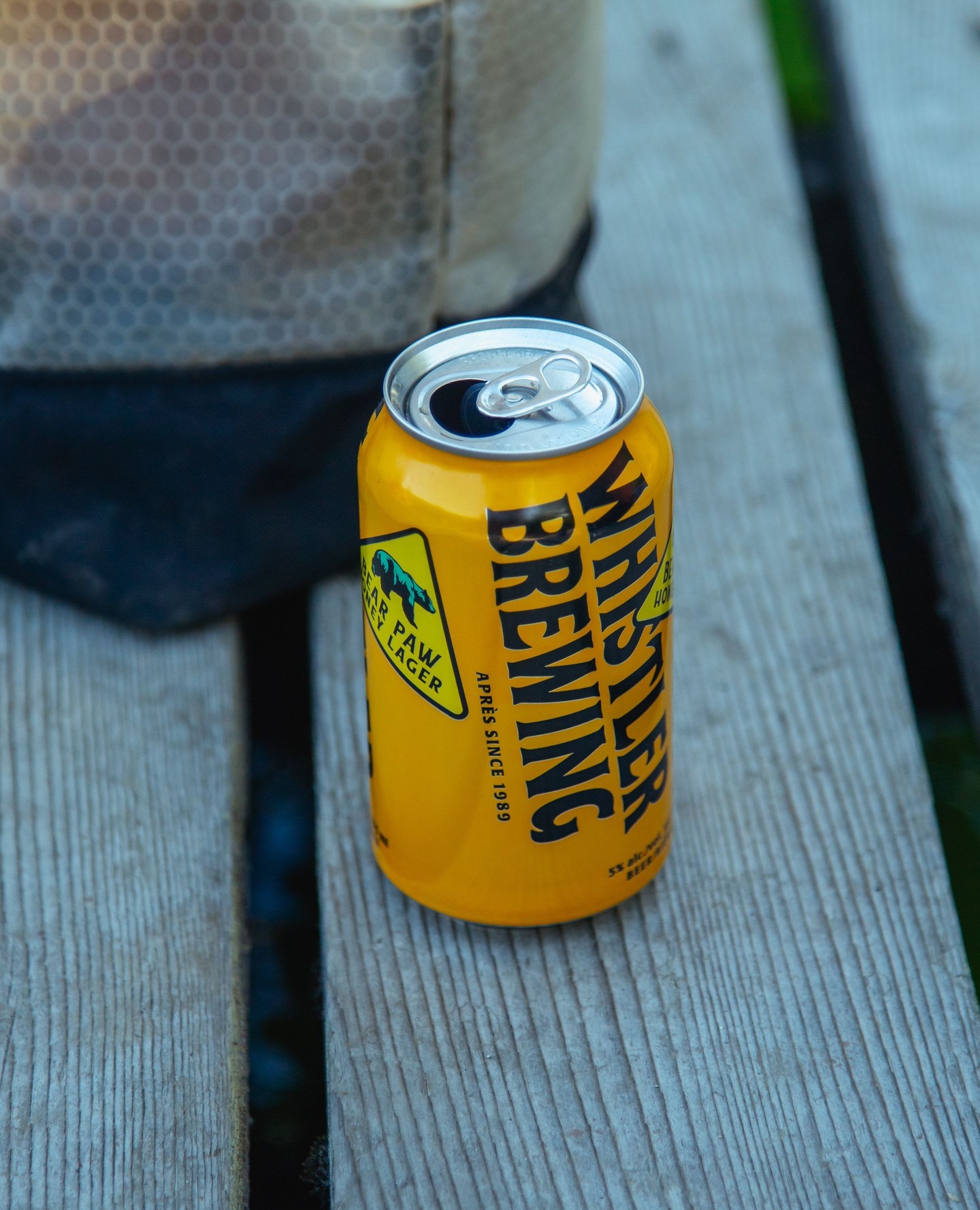 Paw-rfect for any season