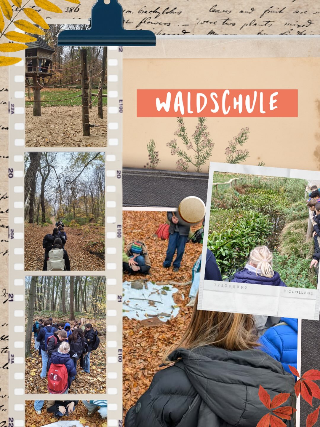 Waldschule Düsseldorf 🌳 🍂 der 7nc Kurs war heute im Grafenberger Wald unterwegs.
Die Waldschule ist ein ausserschulischer Lernort für Kitas und Schulen. Die Kids erkunden die Natur und lernen die Vielfalt des Waldes kennen. #waldschule #düsseldorf #natur #schule #ausflug #toniturekrealschule
