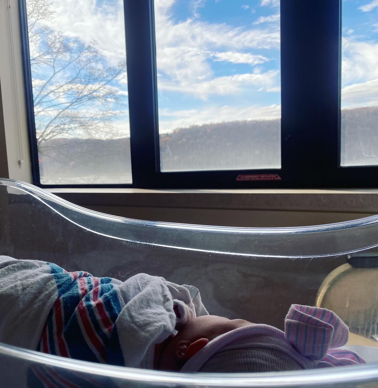 A new member of the Julien’s family made her appearance last night! We will be closed for the week. See you Tuesday 11/25!