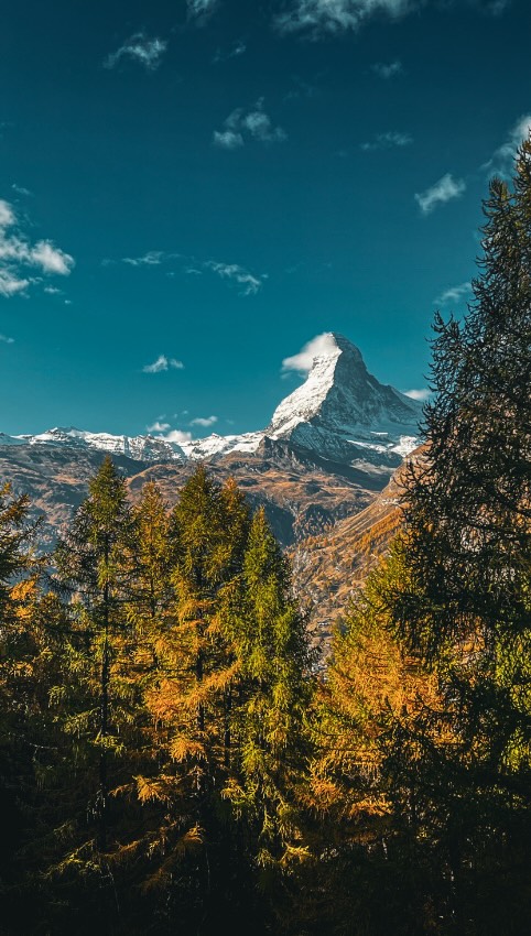 Autumn in Zermatt is special offering breathtaking views on your hike. We will be sharing our favorite hikes with you all - stay tuned
#peakventure #zermatt #tlpicks #matterhornbergbahnen #autumnvibes #retreat #zermattretreat #swissalps #zermatt #matterhorn #eventmanagement #yogaretreat #retreatyourself #newcompany #startup #switzerland🇨🇭 #switzerland