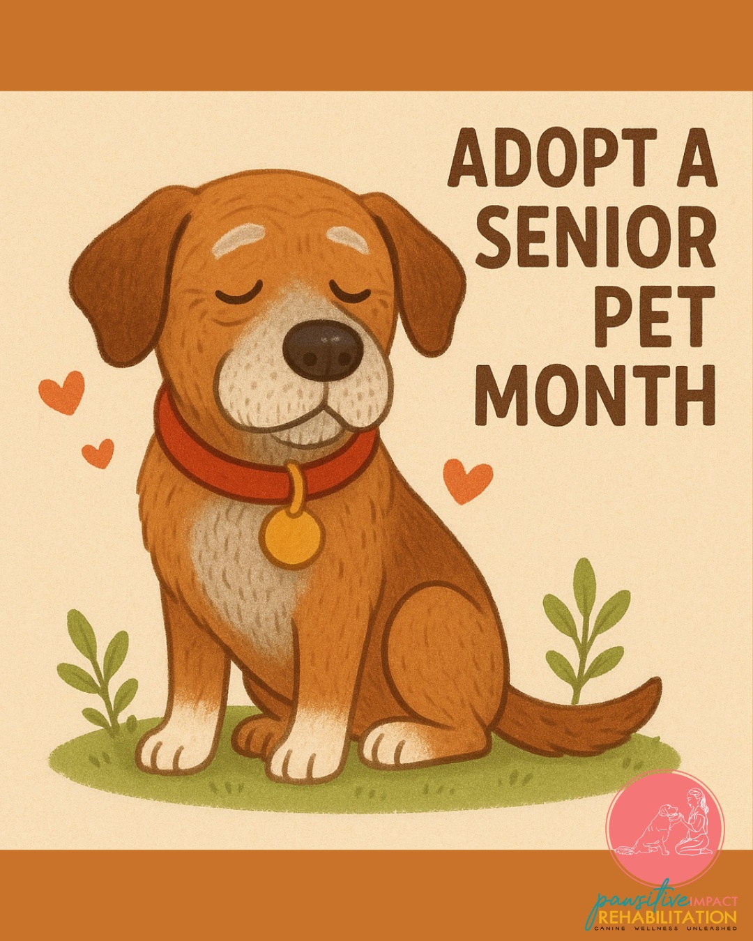 🐾 National Adopt a Senior Pet Month! 🐶❤️
That sweet “sugar face” isn’t just from age — it’s from all the kisses they’ve received over the years. 💋✨
Senior dogs may have a few more naps in their day and a little extra gray around the muzzle, but their hearts are still overflowing with love — and they’re ready to share it with you. 🐕💕
They’ve seen life, learned patience, and perfected the art of unconditional love. Now, all they need is a cozy spot by your side. 🏡💞
Let’s give these golden-hearted pups the retirement they deserve — full of belly rubs, treats, and endless affection. 💫
