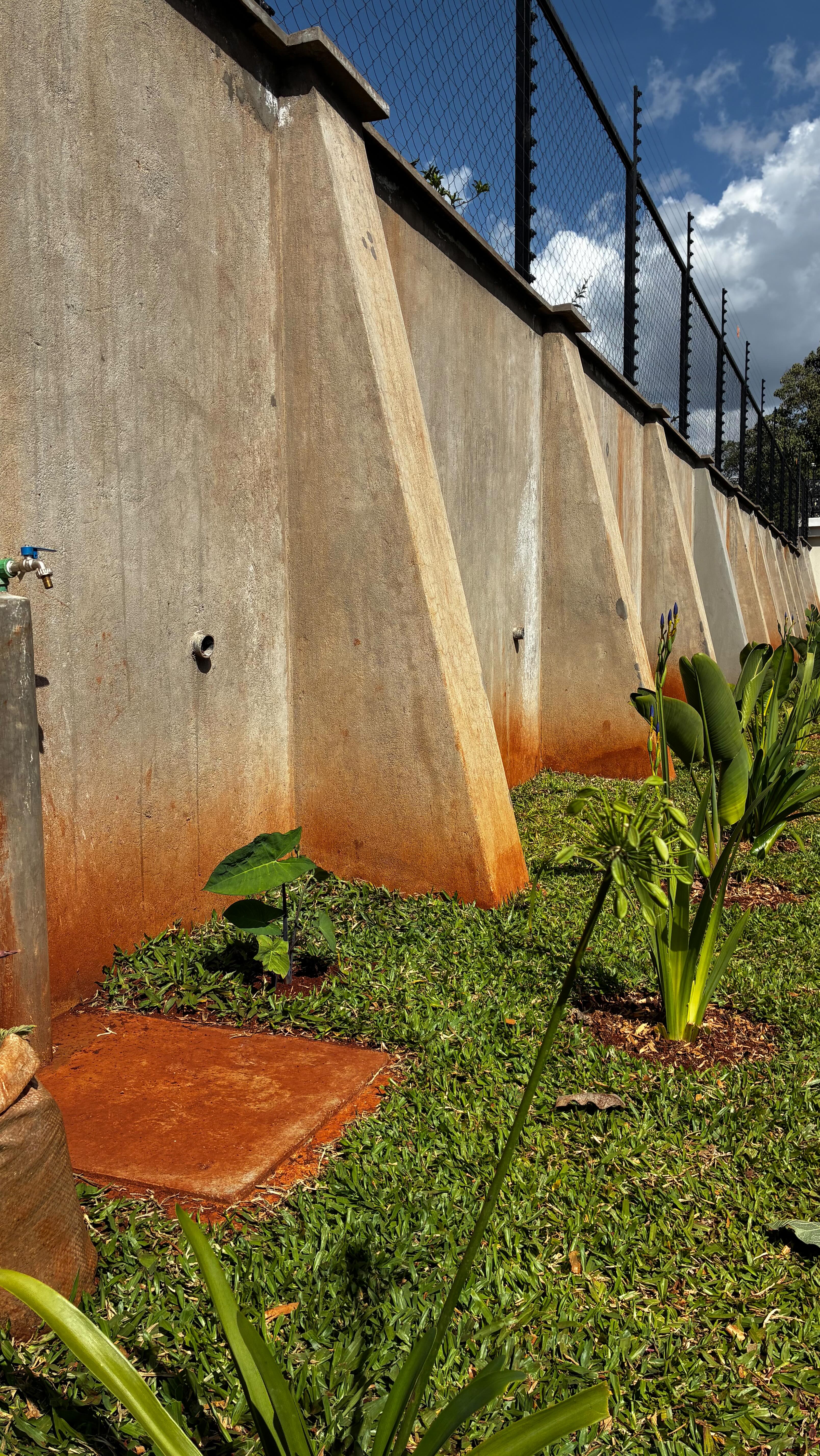 Gosh, it’s so rewarding to see this entire landscape come to life in just four short months! Starting fresh on a blank canvas, choosing minimal yet functional and aesthetic plants and trees, and watching it all take root has been incredible. Our team, together with their staff, has been maintaining the site beautifully, and everything is thriving! 🌾🪻💦🐝
Most flowers, plants, and trees are coming up wonderfully, and in just a few more months, this space will be even more abundant. The lawns have flourished, and the kitchen garden is looking lush, though it still needs consistent mulching, especially in this heat! ☀️🍂🥬