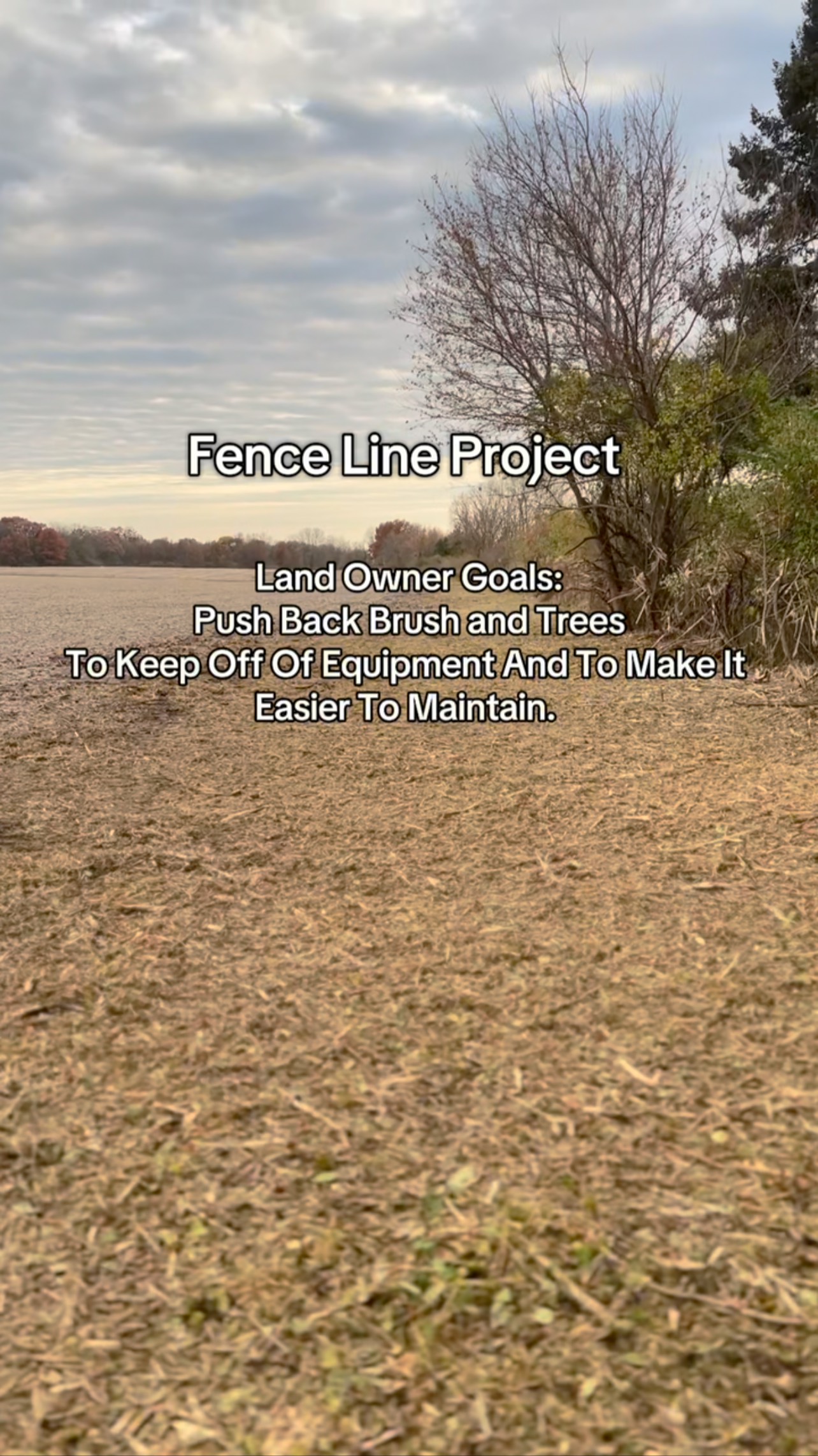 Clearing this fence line to give the farmer back time, space, and clean edges. Good fields start with good boundaries.