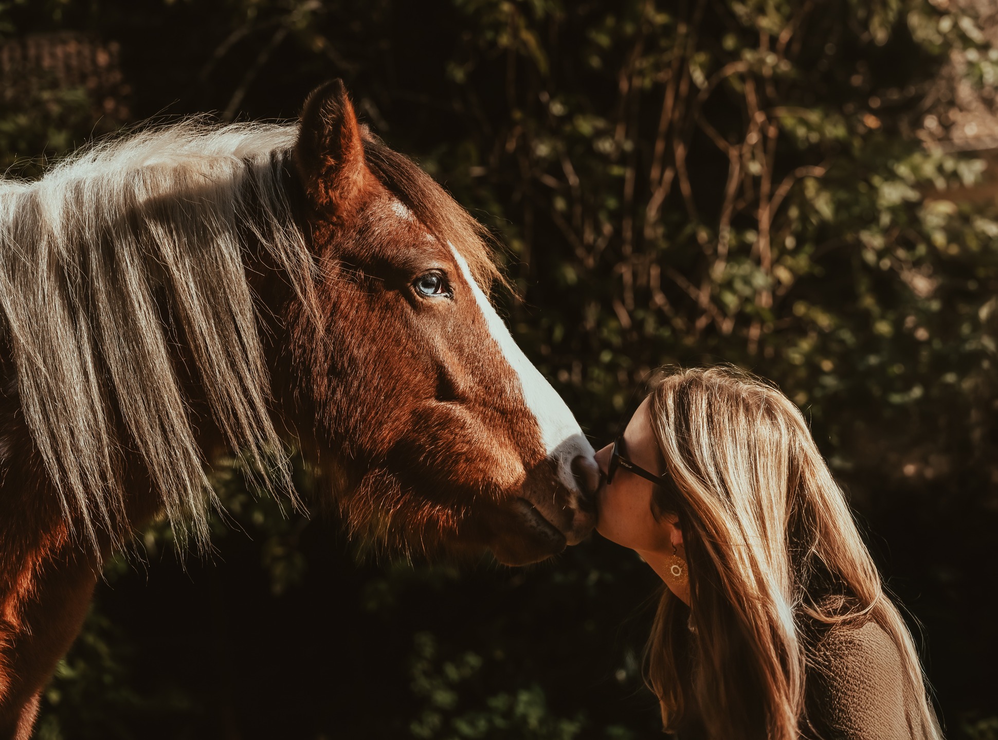 Il y a des moments où tout se pose.
Juste un cheval, une lumière douce, et cette relation qu’on construit au fil du temps.
Pas de mise en scène, juste de la confiance et un vrai partage.
C’est exactement ce que j’aime capturer : des instants vrais, qui racontent quelque chose sans en faire trop.
Je suis disponible pour vos séances photos équestres — les réservations sont ouvertes !
🐴✨
#photographeequestre #shootingcheval #photographieanimalière #chevaux #horsephotography #equinephotographer #shootingequestre #passionequestre #momentcomplice #equitation #portraitcheval #equifeel #instacheval #seancephoto #photographelifestyle #photographedelumiere #artistephotographe #reservationouverte