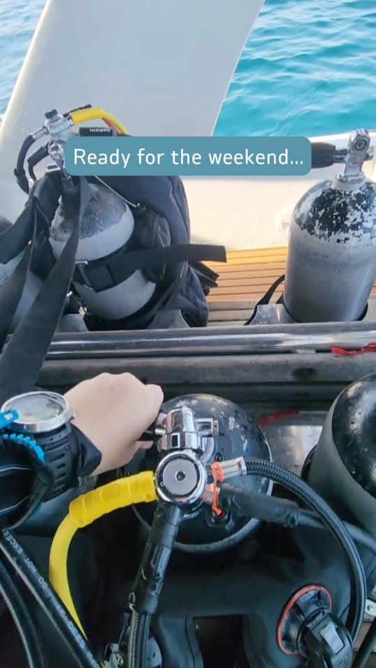 Friday forecast: 100% chance of bubbles!