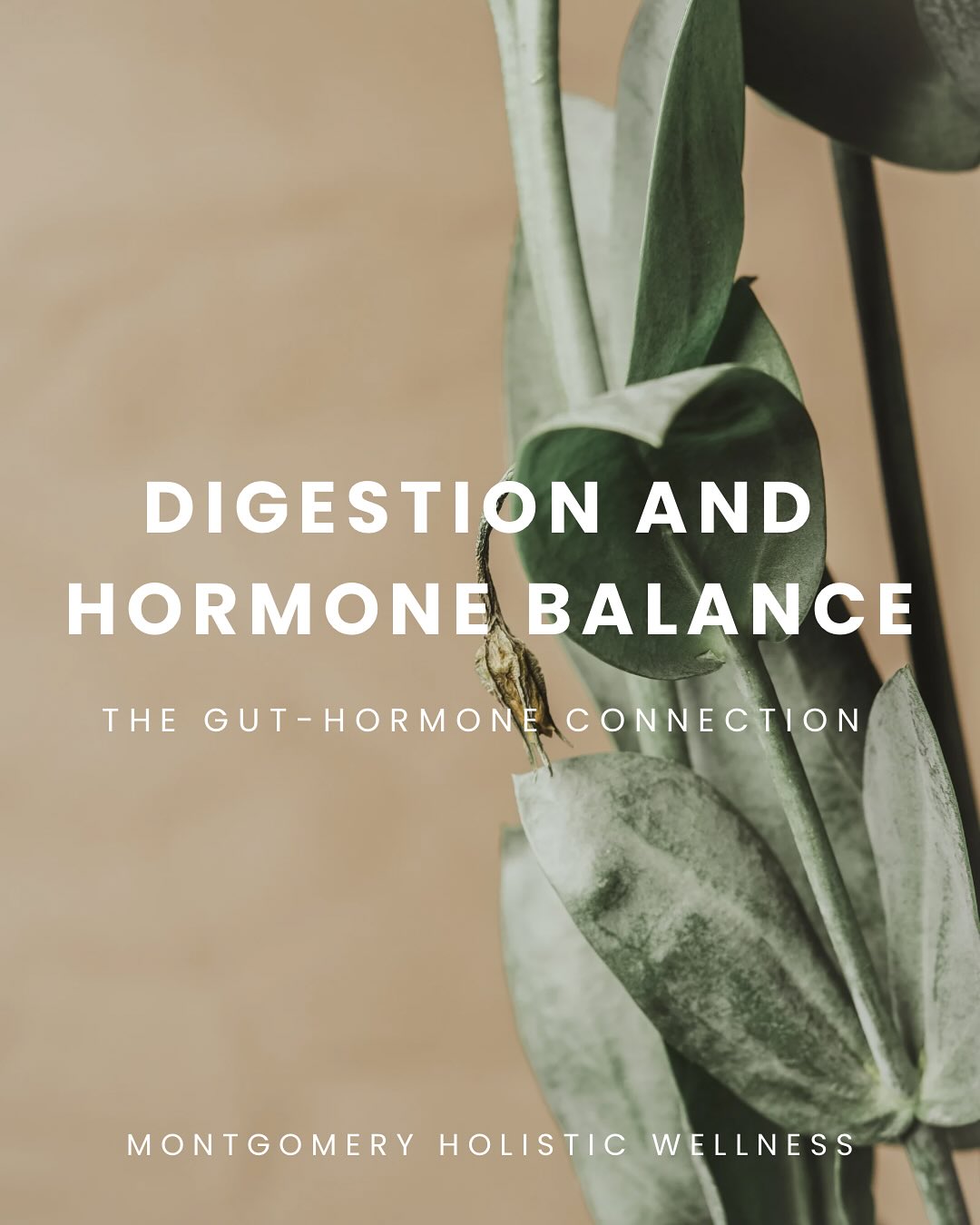 Your gut and hormones are best friends 💕
An unhappy gut can recirculate estrogen and throw off your balance.
✨ Nourish with fiber, movement, and mindful meals — your body will thank you 🤍
#hormonehealth #hormoneimbalance #guthealth #cyclesyncing #holisticnutrition #holisticwellness #holistichealth #wellness #wellnessjourney #womenshealth #balanced #foodismedicine #lifestyle