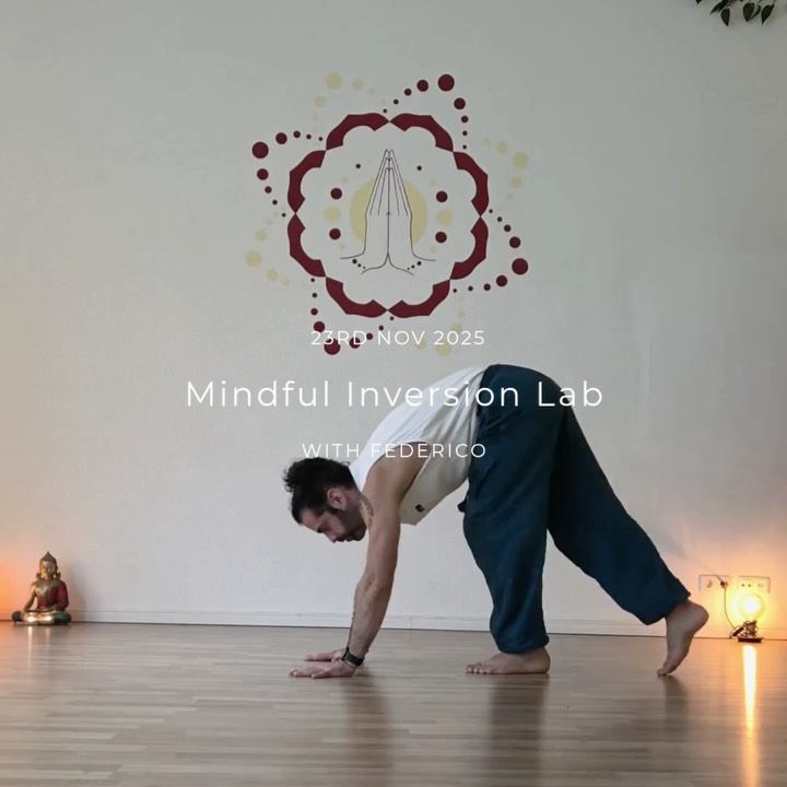 Want to learn how to go upside down in a safe, fun, and calm way?
Mindful Inversion Lab by @federicosoggiaa on 23rd November 2025 at @yogicescape Friedrichshain.
This monthly 90-minute workshop helps you understand your body, build confidence, and explore inversions step by step.
What @federicosoggiaa will teach:
Focus on one simple theme each month
Learn clear instructions and easy breakdowns
Practise strength-building drills at your own pace
Try playful variations without pressure
Connect the movements into a smooth flow
End with relaxing breathing and quiet time
This workshop is for anyone curious about inversions no need to be advanced.
Just come with an open mind, a steady breath, and a willingness to explore.
Turn your world upside down, gently. Link in bio 🙏
#inversion #handstand #upsidedown #handstandeveryday #yogaasana #yogastudio #yogastudioberlin #friedrichshain #yogaretreats #yogastudiofriedrichshain #yogicescape